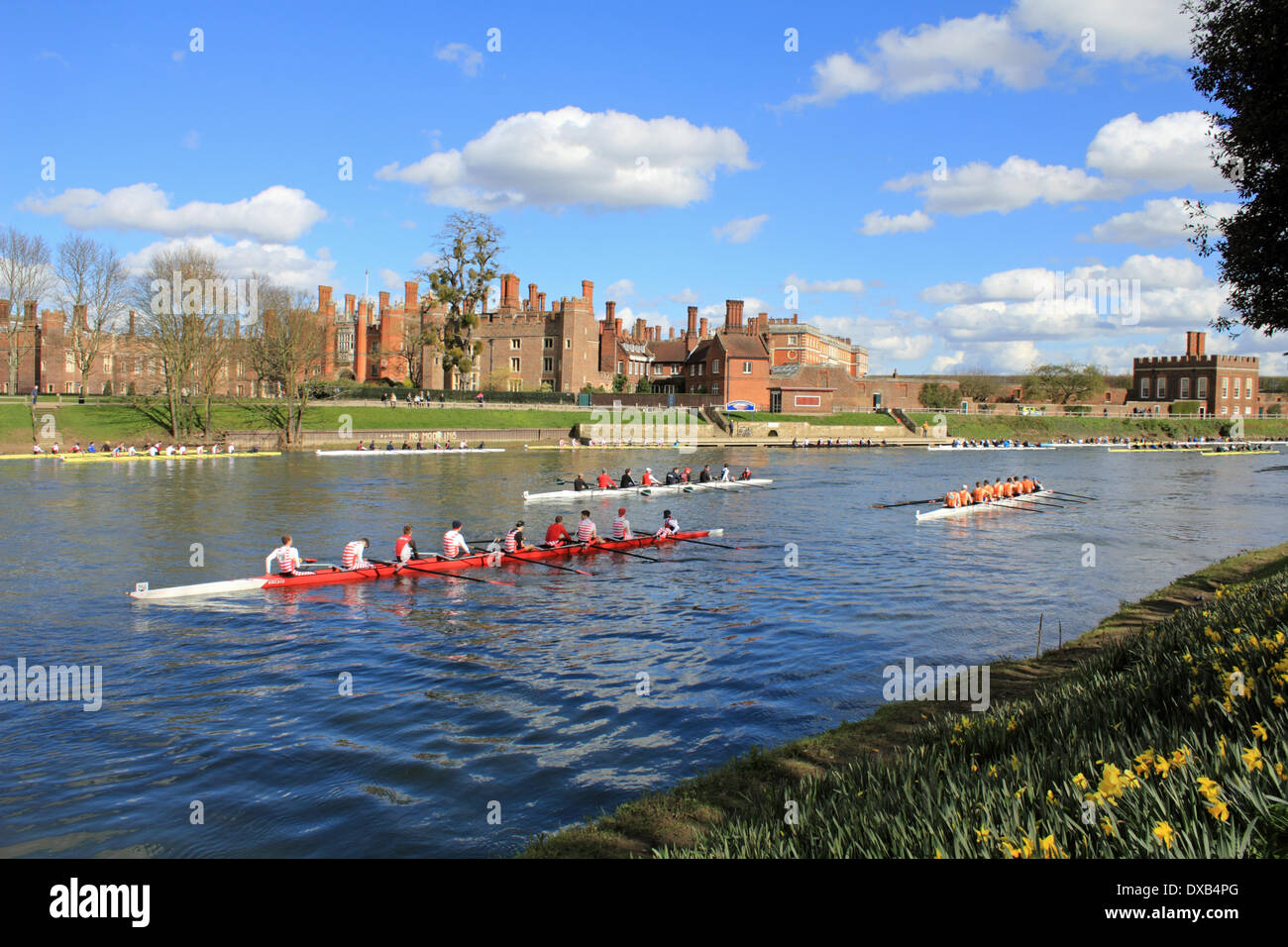 River Thames at Hampton Court, SW London, UK. 22nd March 2014. Preparing for the start of the Kingston Head of the River Race. Over 200 crews were competing in the annual event covering 3 miles of the River Thames between Hampton Court Palace and Kingston Rowing Club. The crews all from the South East of England competed is several classes including Eights, Fours, Sculls and Rowers, with Senior, Junior, Mens and Womens teams. Results not yet available. Credit:  Julia Gavin/Alamy Live News Stock Photo