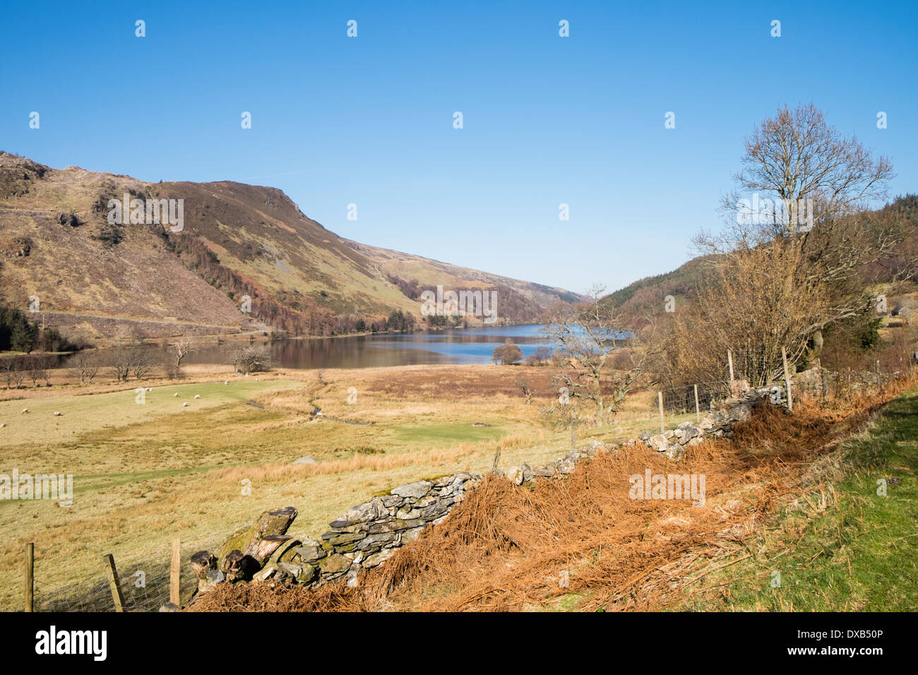 View to Llyn Crafnant in Snowdonia National Park, Conwy, North Wales, UK, Britain Stock Photo