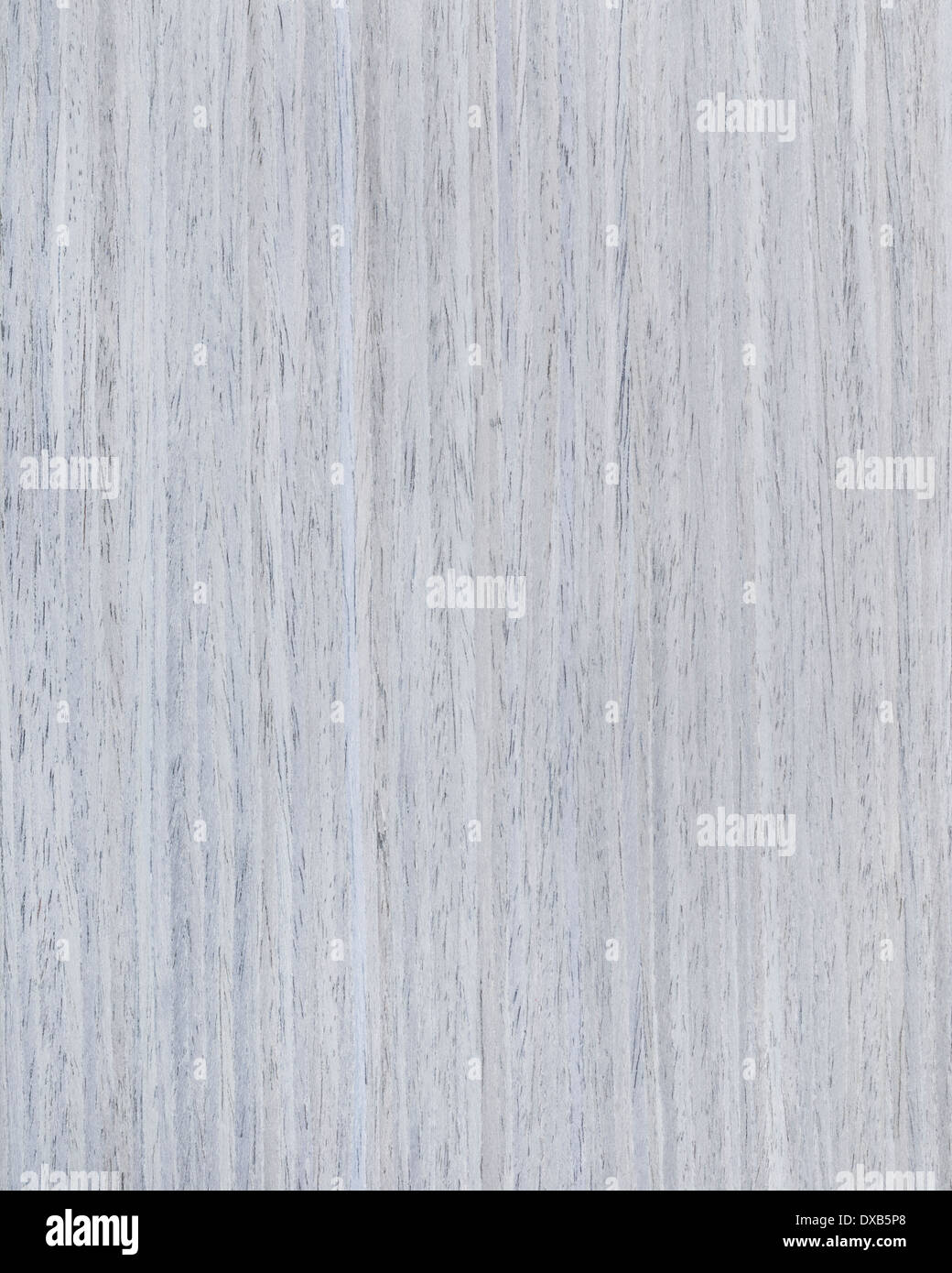 Feel free to download, share, comment and discuss every wallpaper you like. https www alamy com grey oak wooden texture wood grain background image67858176 html