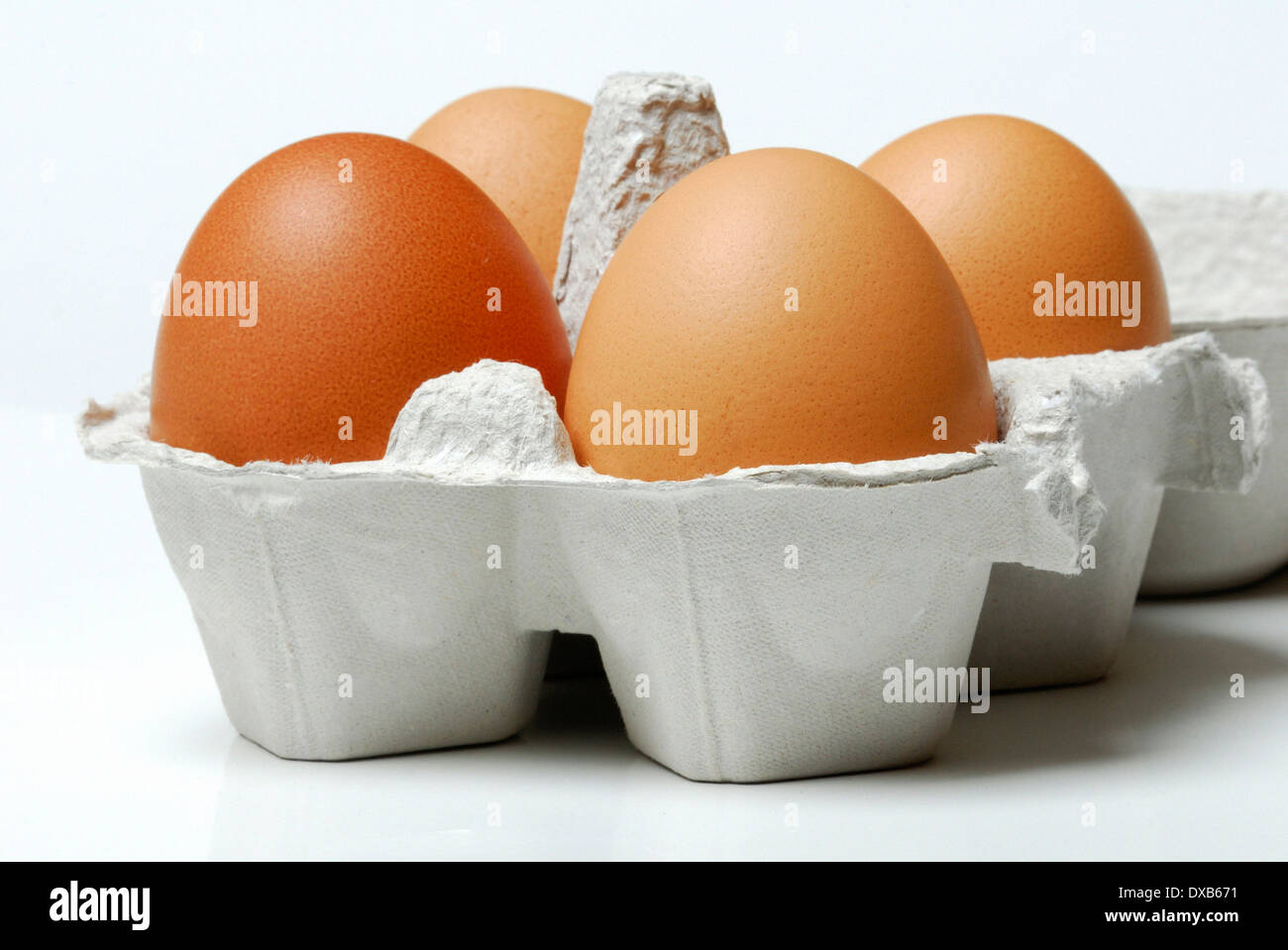 Hen's egg Stock Photo