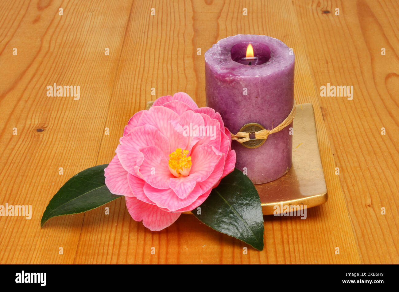 Candle flower burning hires stock photography and images Alamy