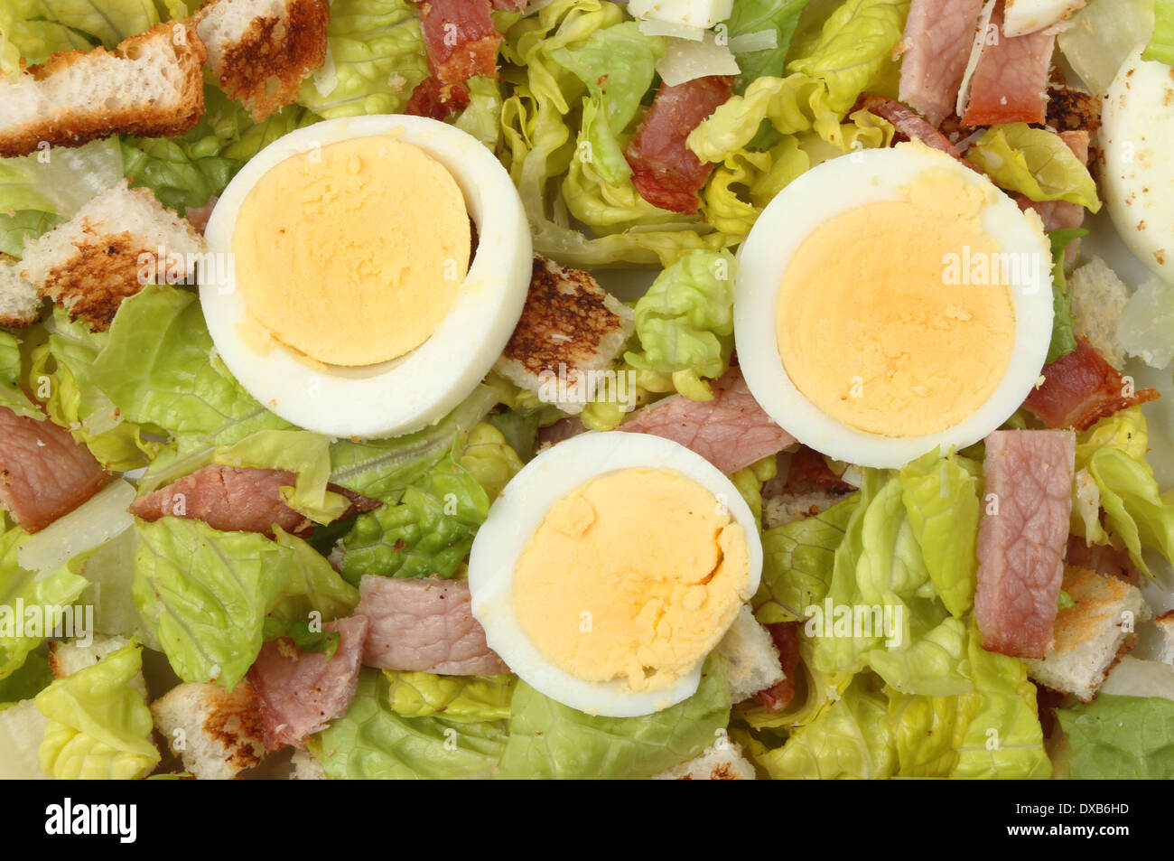 Closeup of a Caesar style salad with bacon and egg Stock Photo