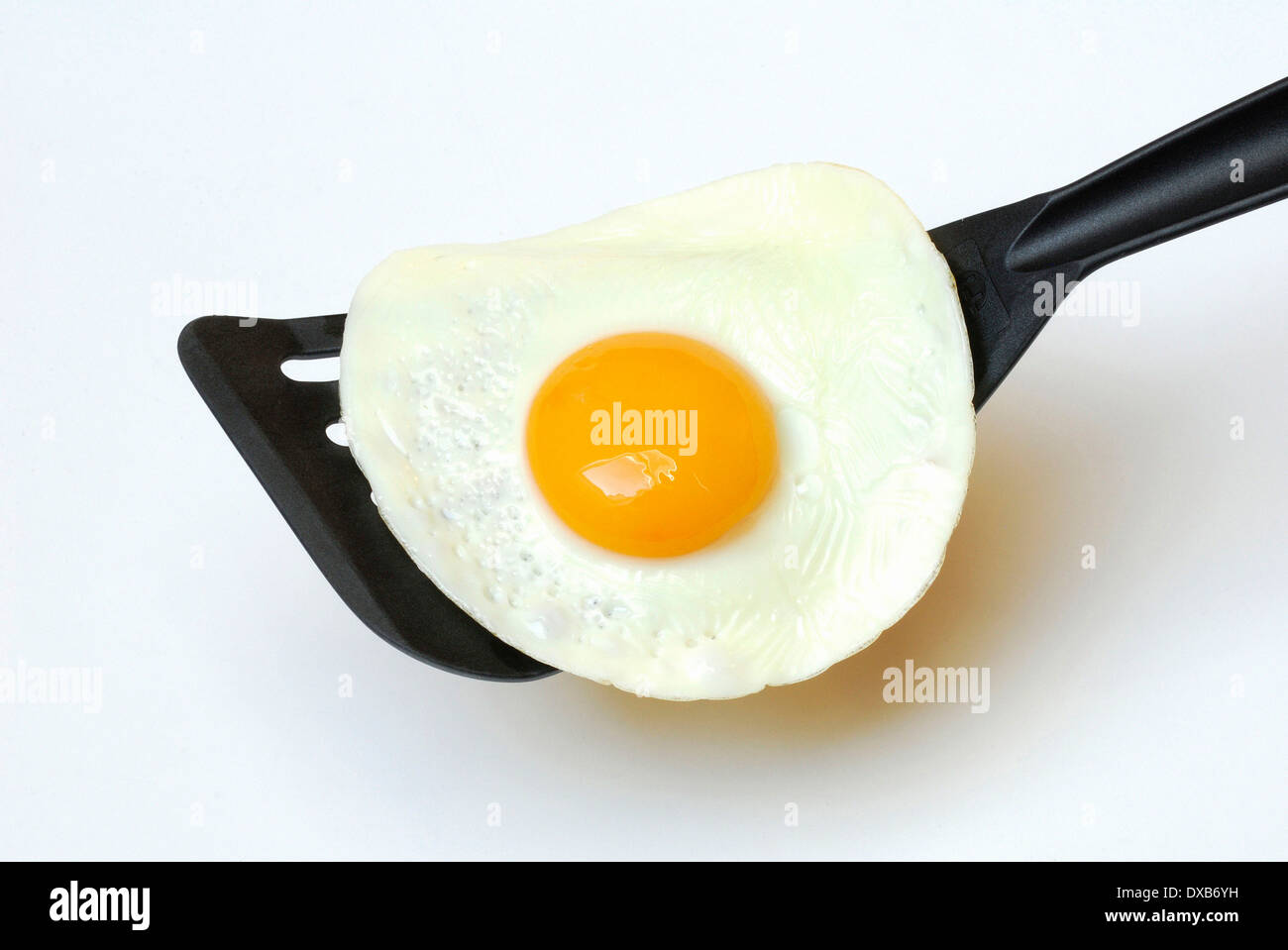 Fried Egg Stock Photo