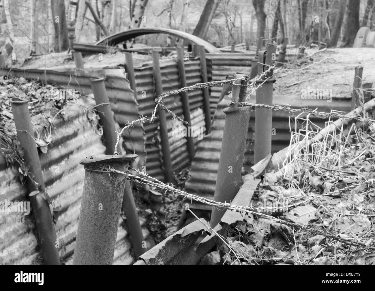 Restored British WW1 trench system at Sanctuary Wood, Hill 62, nr Ypres (Ieper), Belgium Stock Photo
