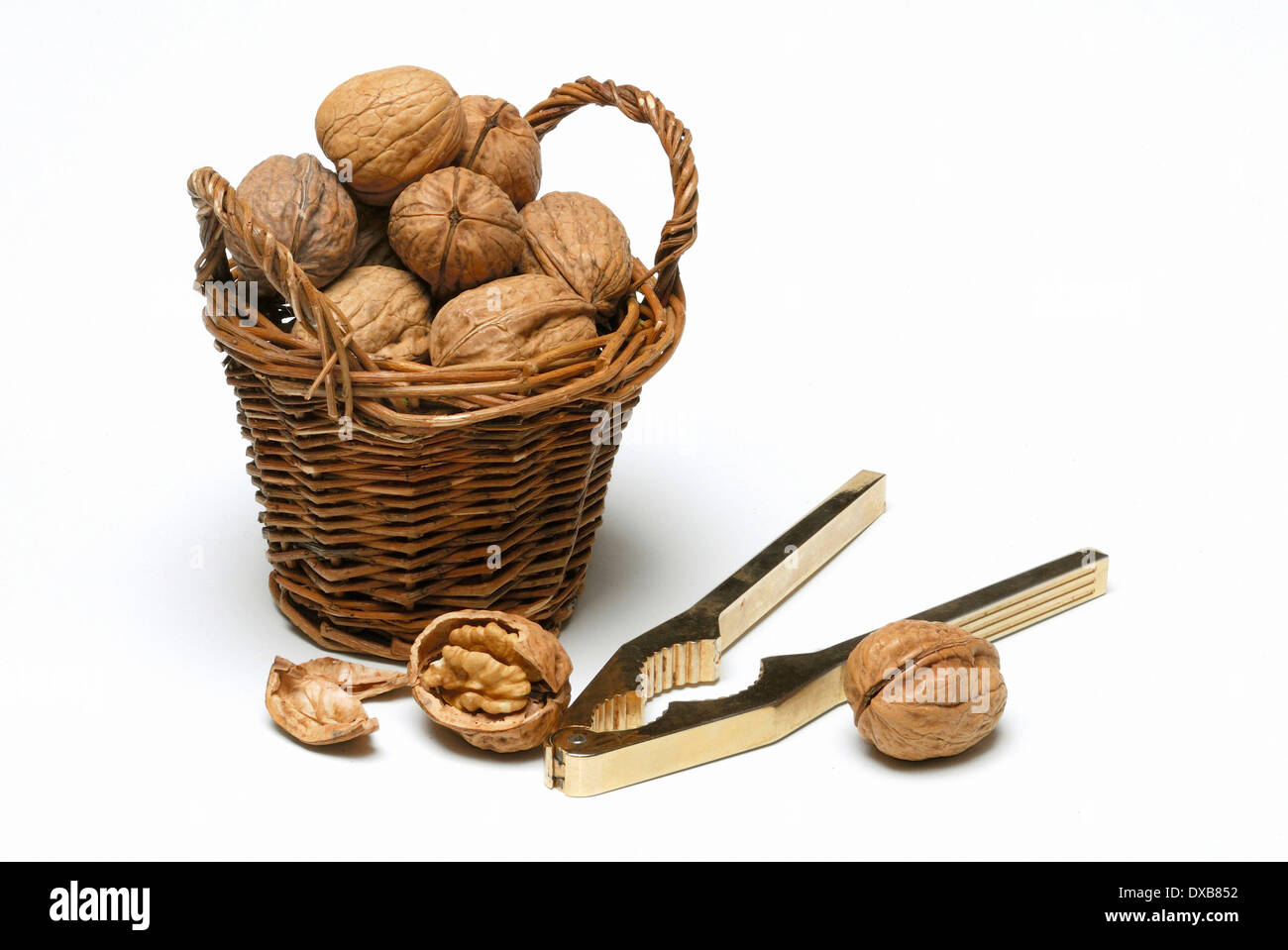 Walnut Stock Photo