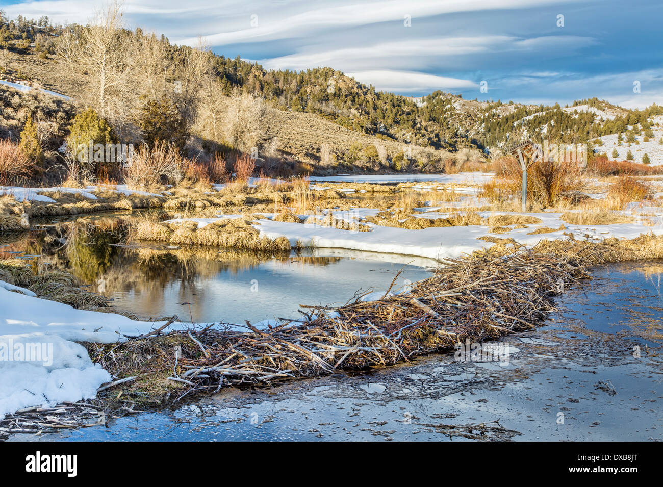 winter on beaver swamp in Northern Park, Colorado at the entry to the Gateway Canyon near