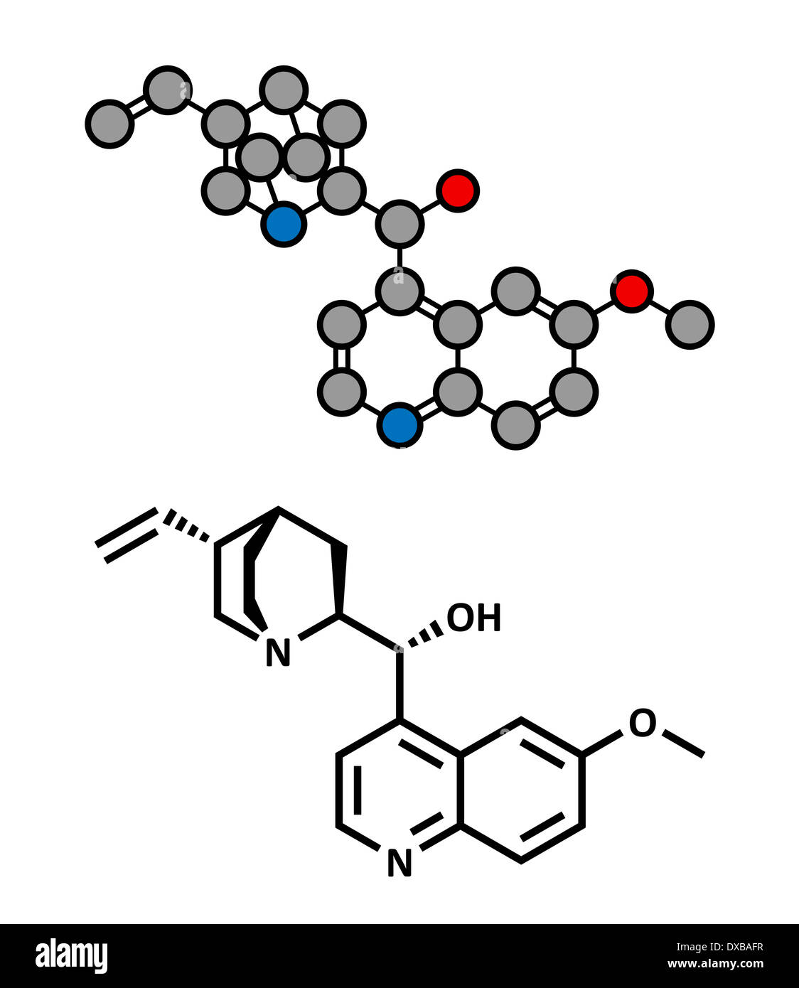 Quinine malaria drug molecule. Isolated from cinchona tree bark