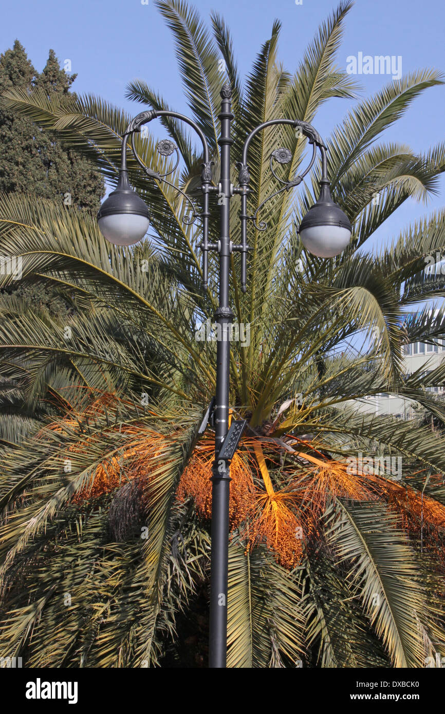 street lamp in front of palm tree in Sochi Stock Photo