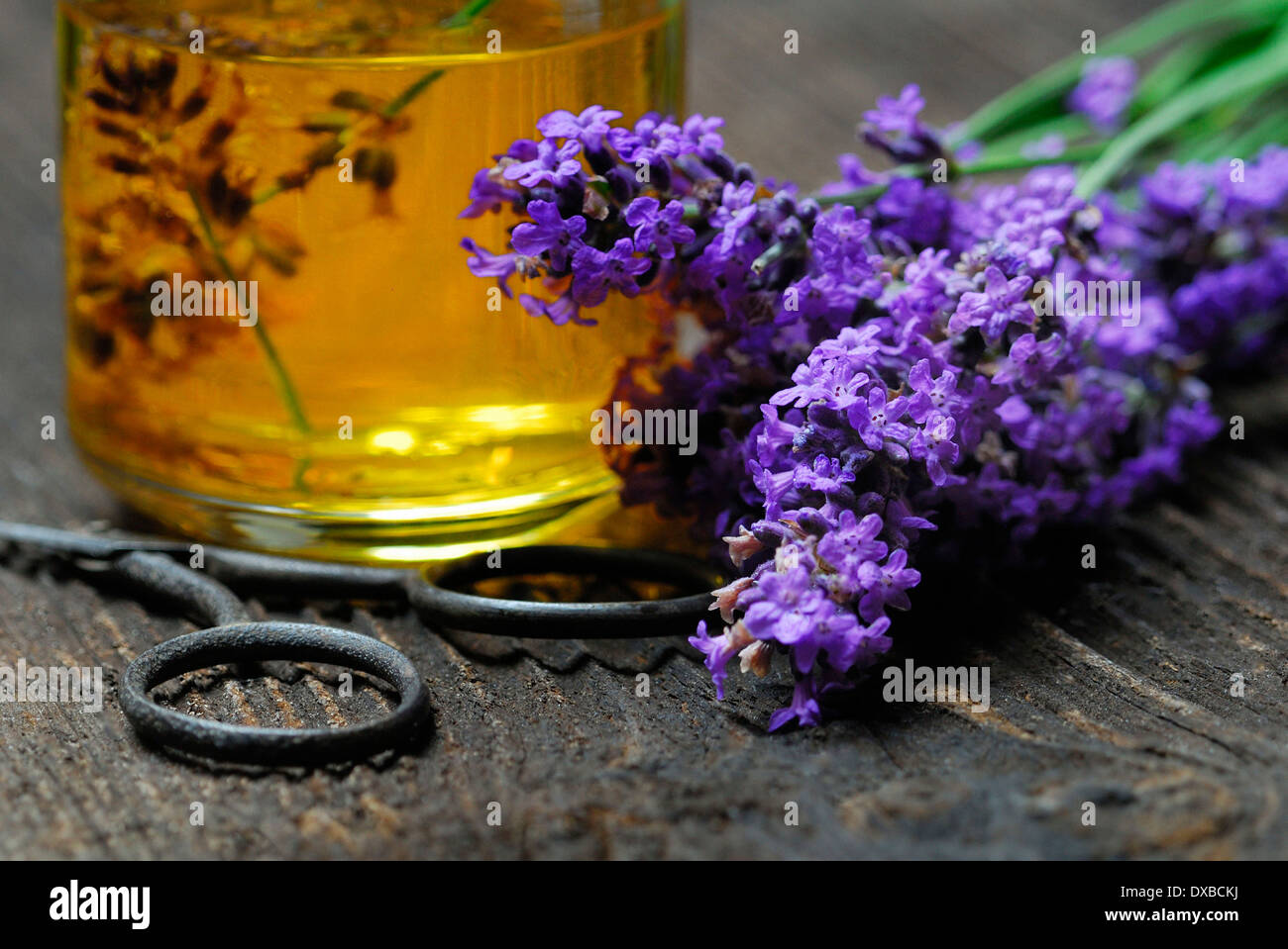 Lavender oil Stock Photo