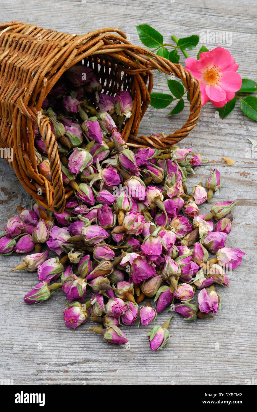 Dried Roses Kept in a Basket · Free Stock Photo