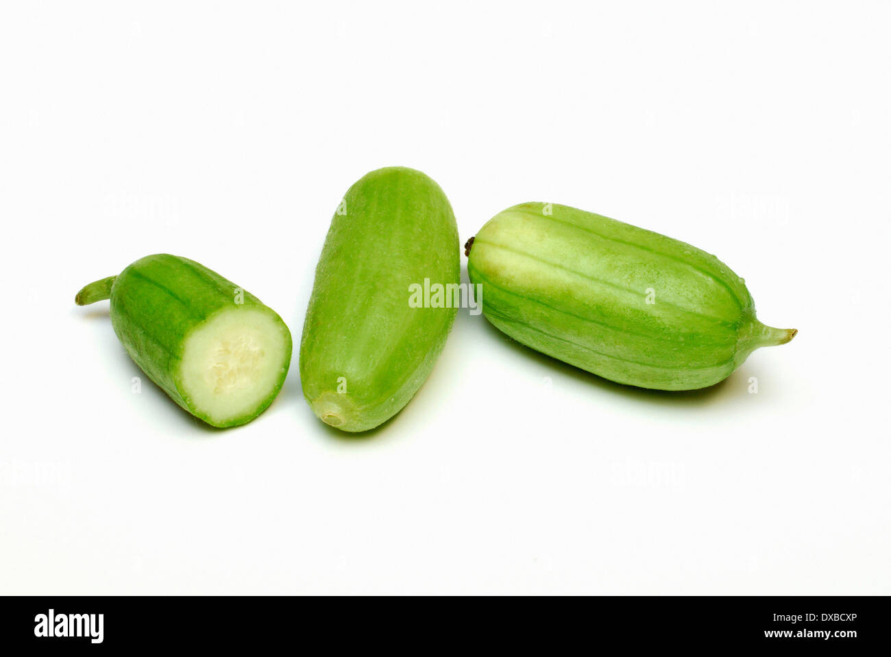 Cucumber images Cut Out Stock Images & Pictures Alamy