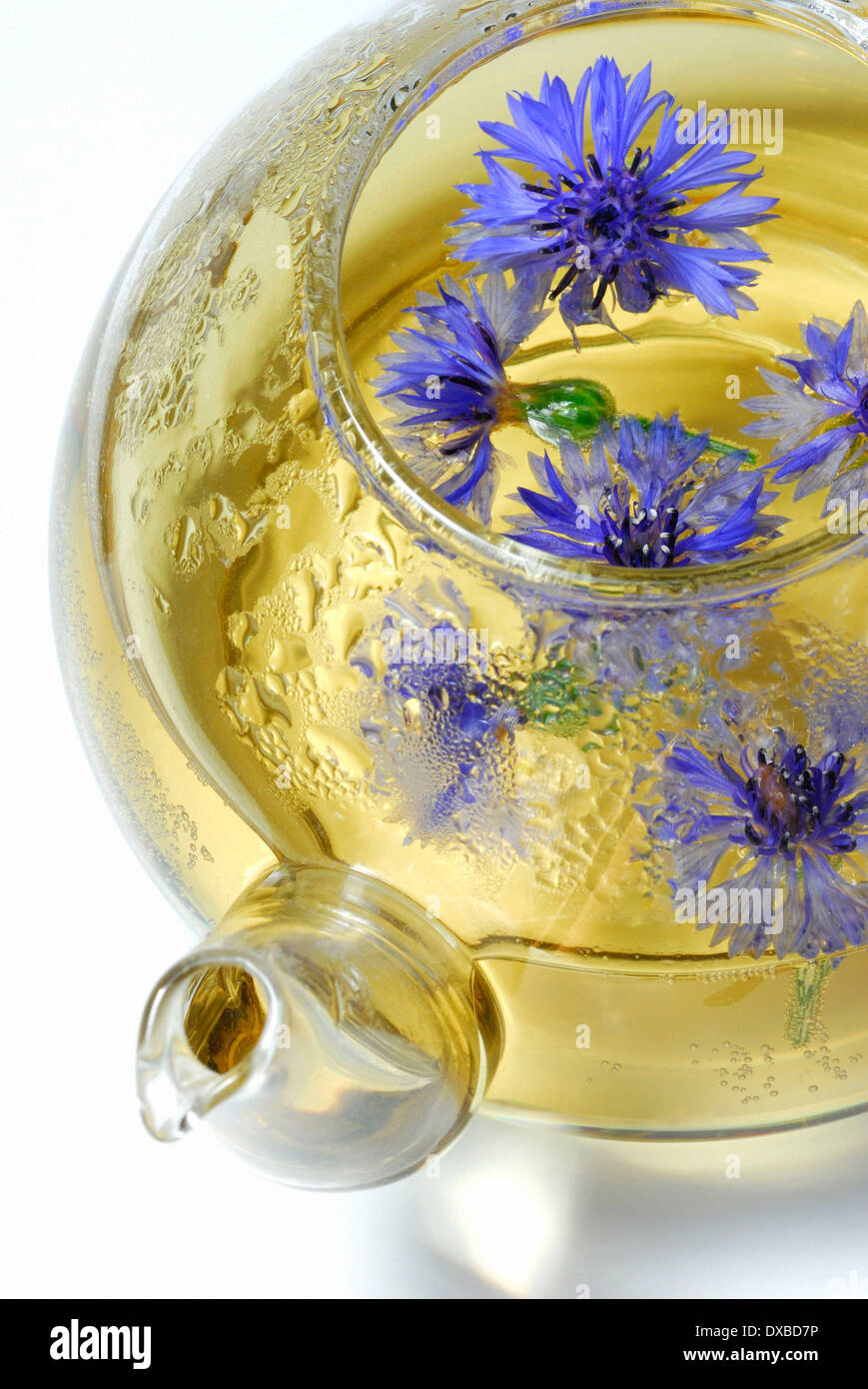 Cornflower centaurea tea hires stock photography and images Alamy