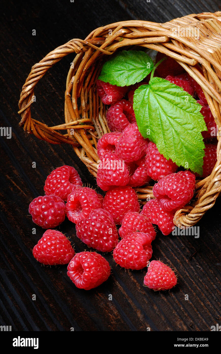 Rubus idaeus Stock Photo