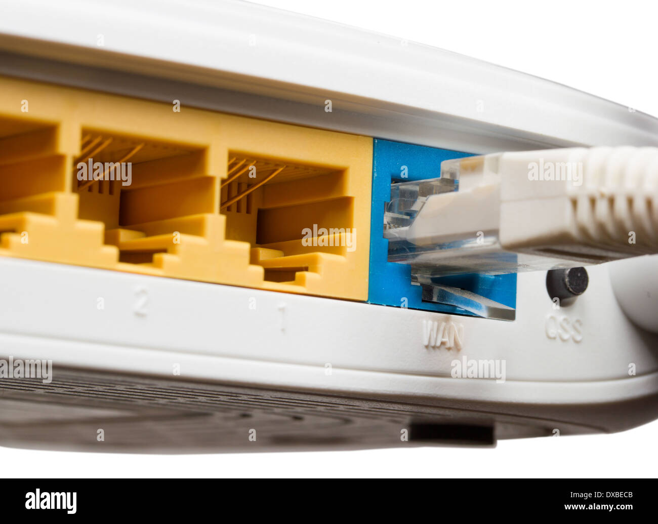 Router network hub with patch cable on isolated background Stock Photo ...