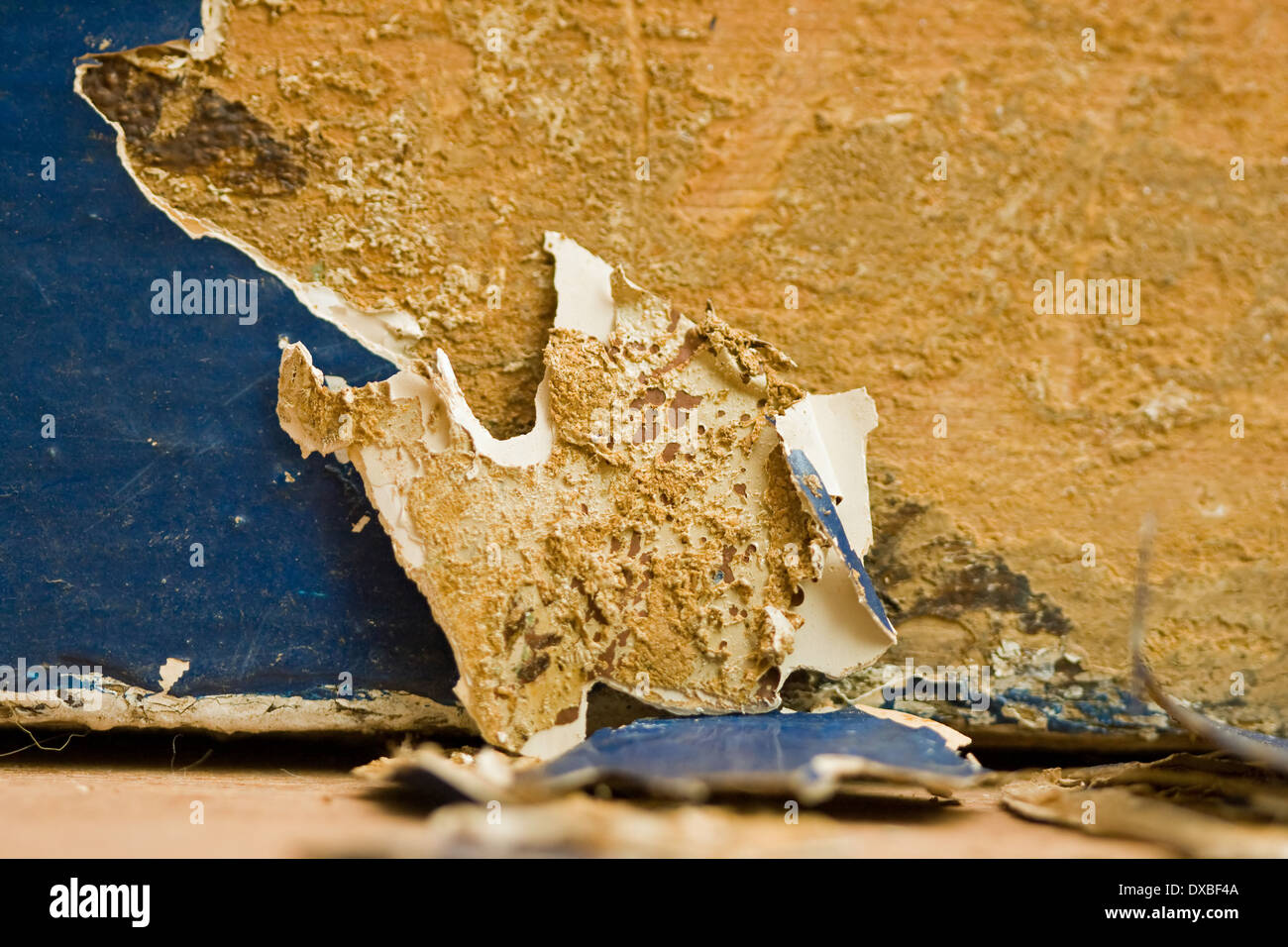 Paint flakes from a skirting board after being stripped with a electric