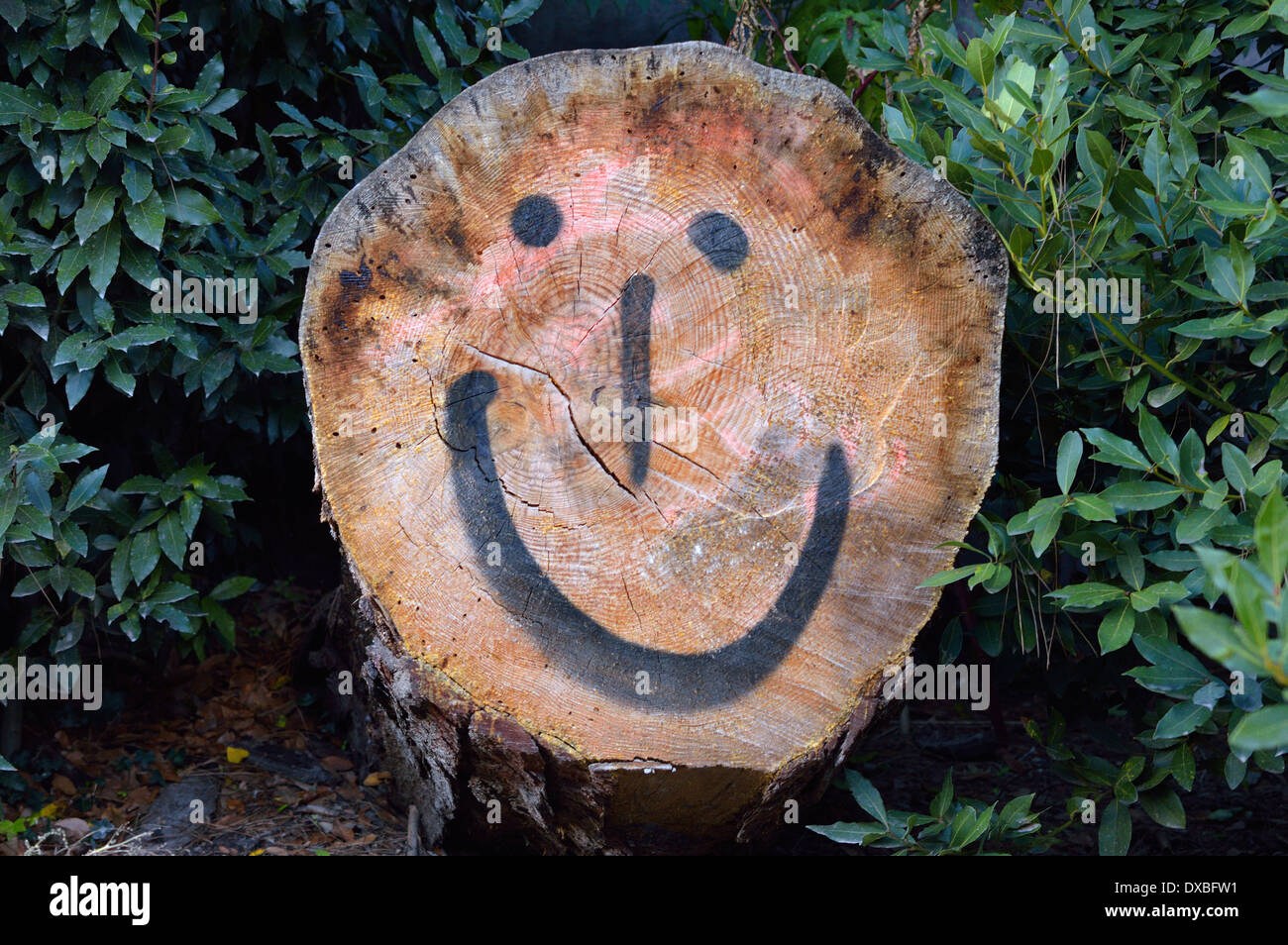 smile by andrea quercioli Stock Photo