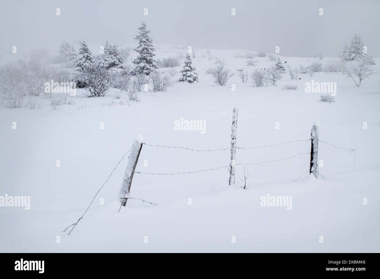 Winter landscape Stock Photo