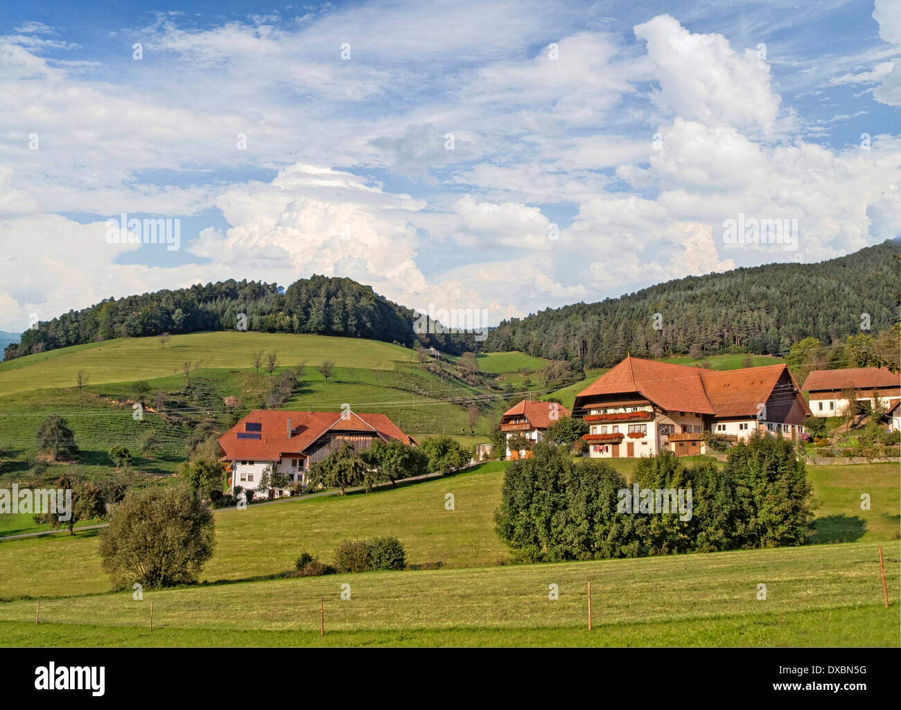 Village, Black Forest, Germany, Stock Photo
