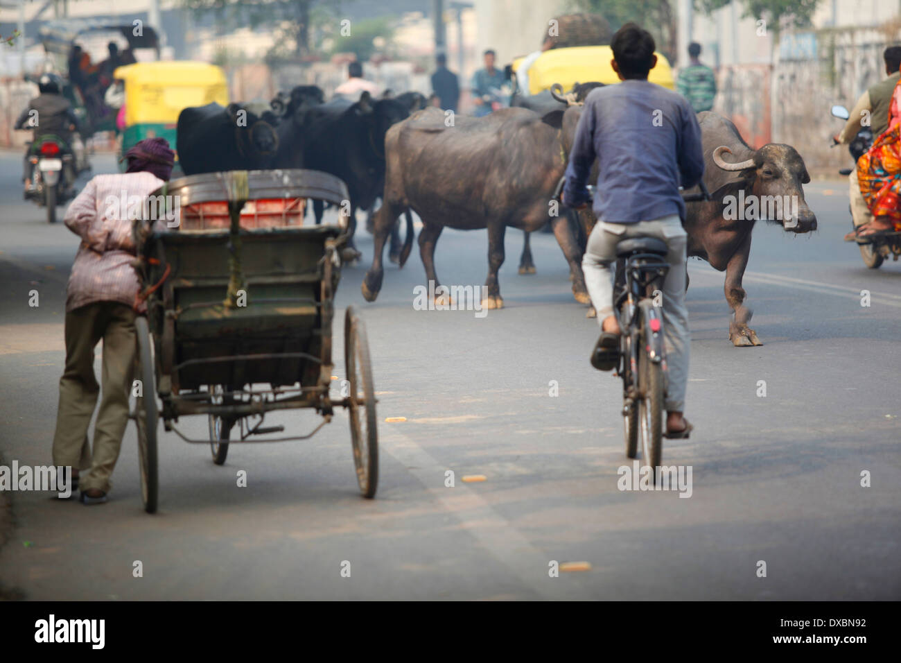 Traffic jam in a street of Agra. Uttar Pradesh, India. Stock Photo