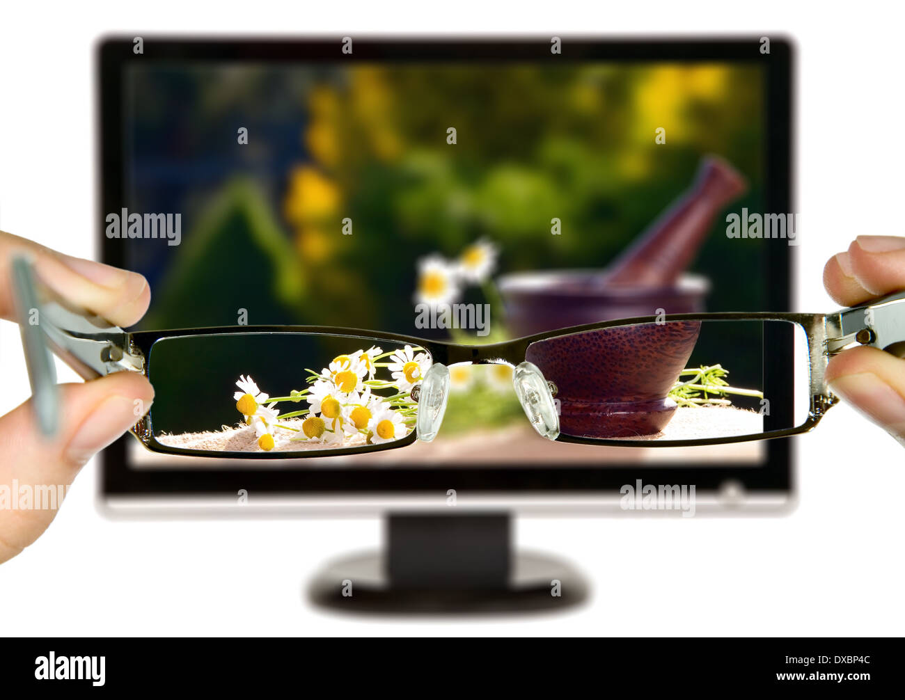 Man is viewing to flowers on display through eyeglasses Stock Photo