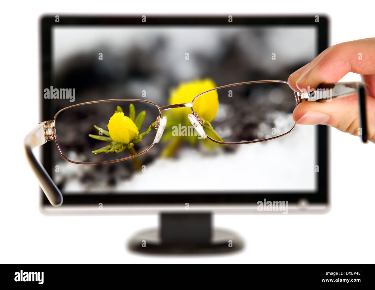 Man is viewing to yellow flower on display through eyeglasses Stock Photo
