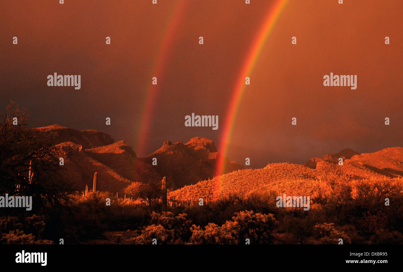 A double rainbow highlights the Santa Catalina Mountains, Coronado National Forest, Sonoran Desert, Tucson, Arizona, USA. Stock Photo