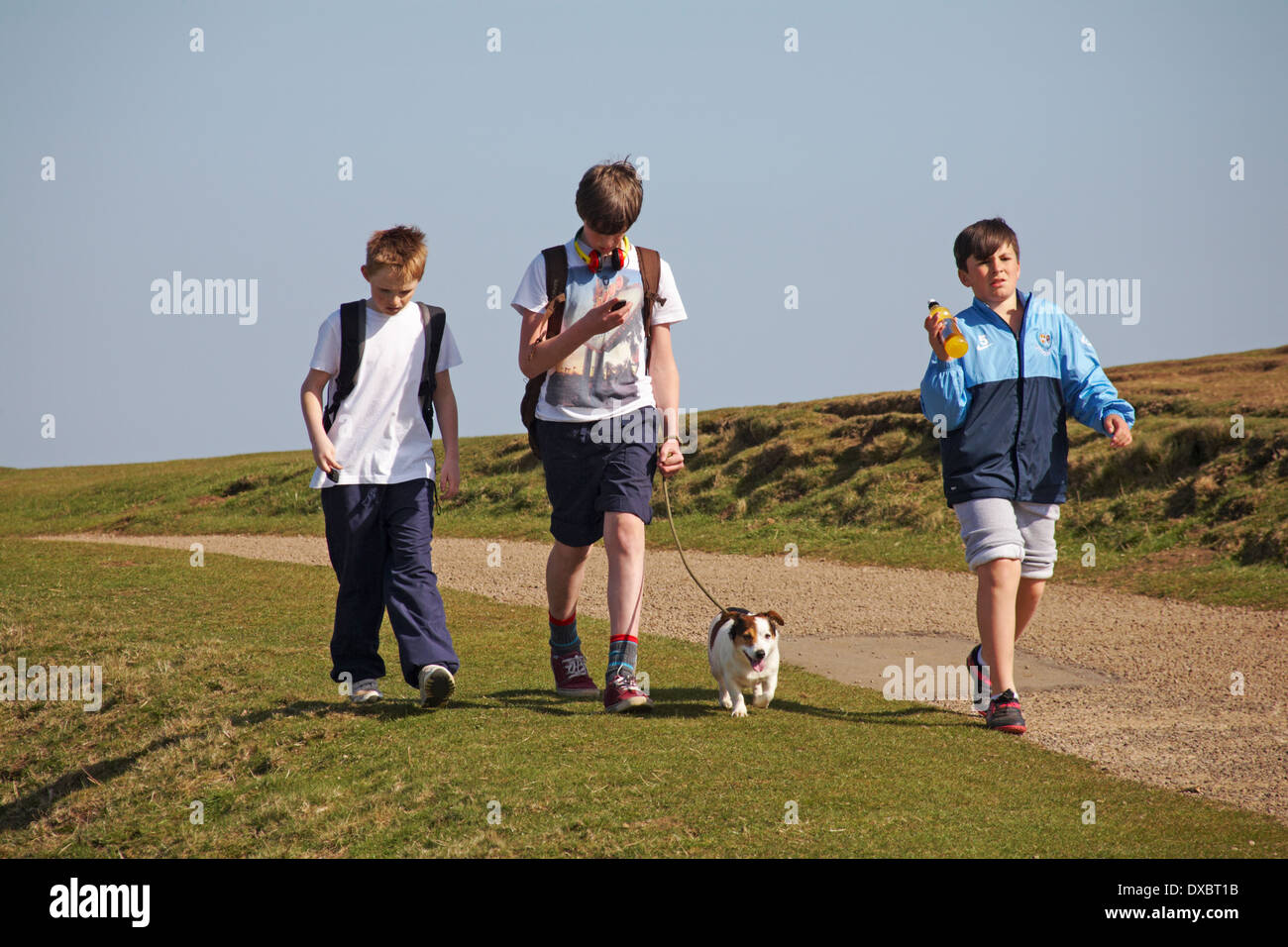 three boys walking in the Malvern Hills with dog on a lead, near Great