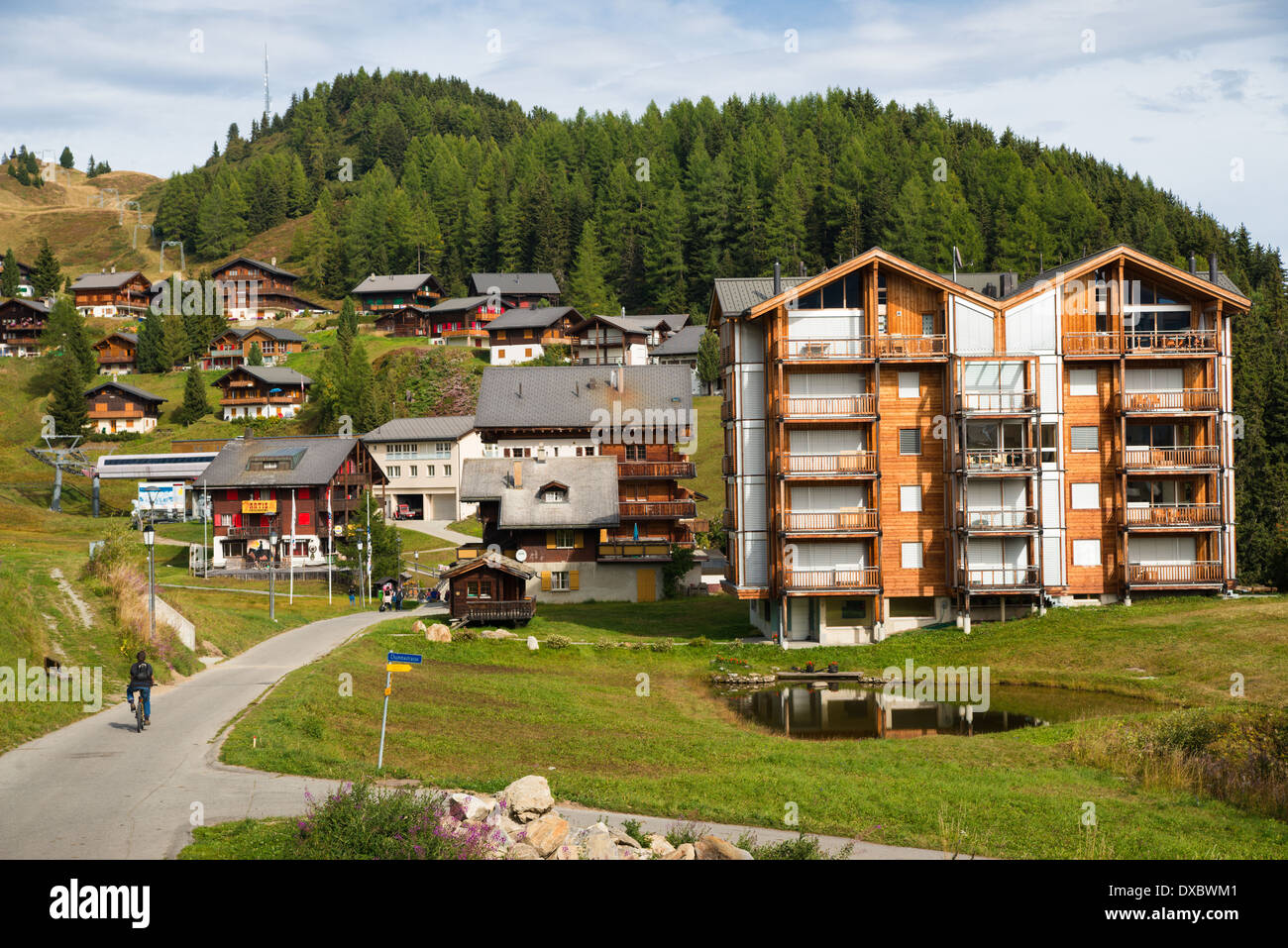 Hotels, chalets and houses of Riederalp, Valais, Swiss Alps, Switzerland, Europe Stock Photo