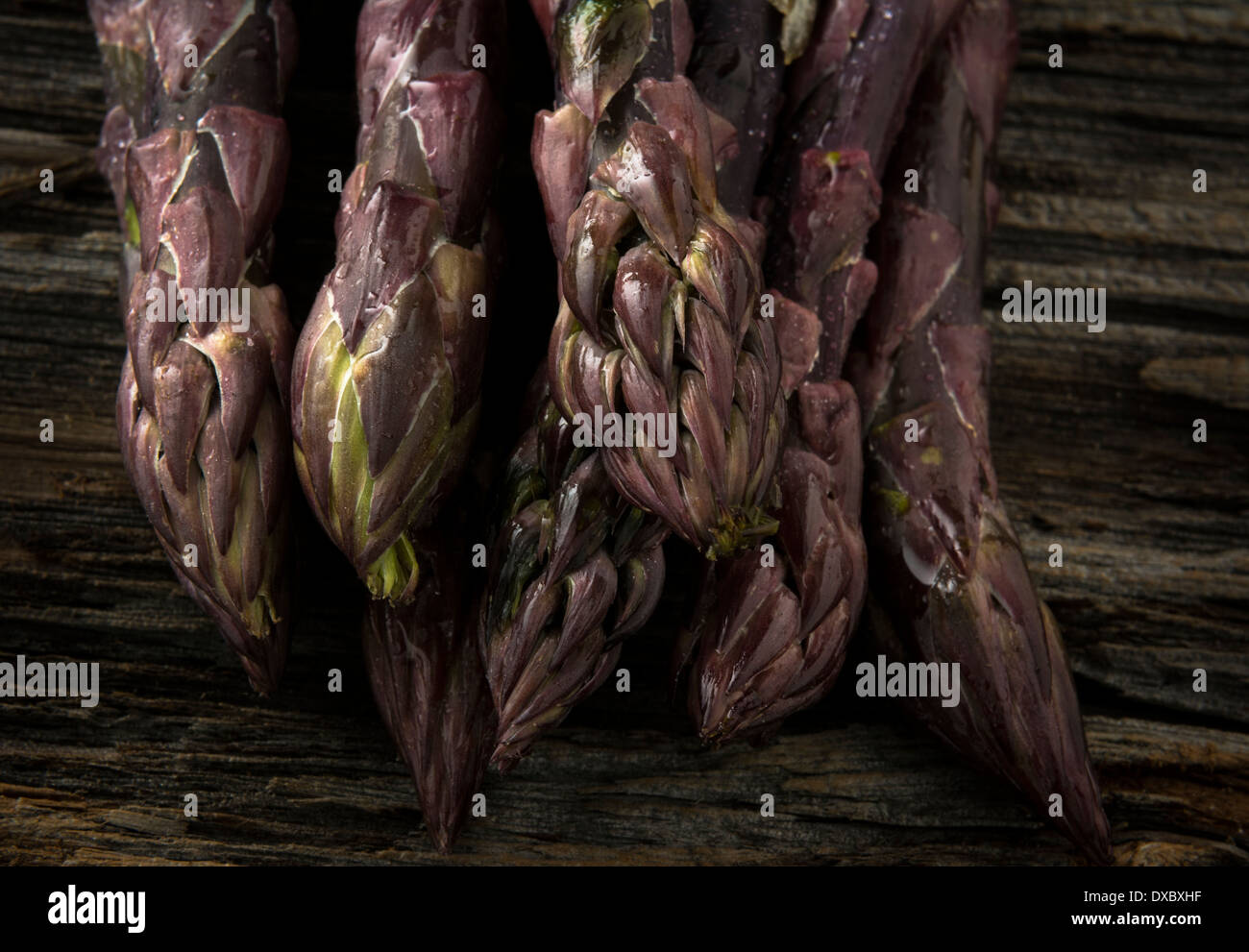 Macro closeup of raw purple asparagus Stock Photo