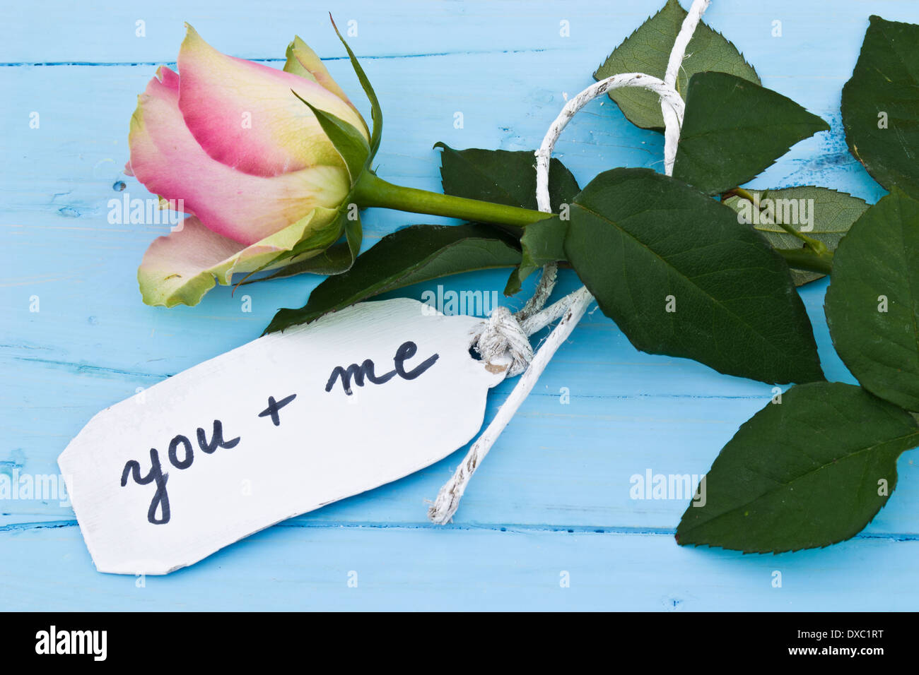 A pink rose on a blue background and a personalised tag saying 'you and me'. Perfect for those in love and for Valentine's day. Stock Photo