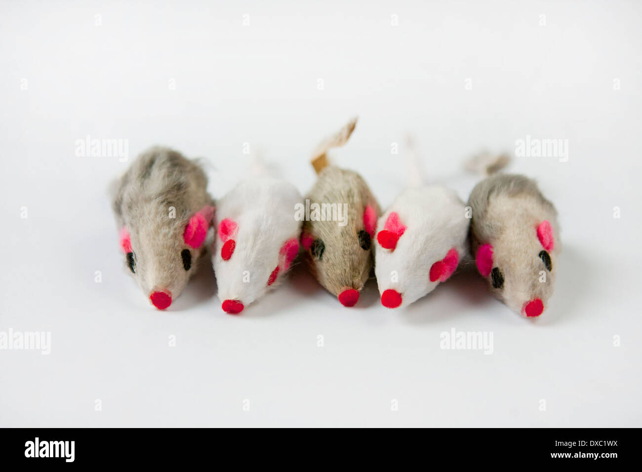 Five realistic, catnip mice cat toys aligned in a row, pattern of white and gray. Stock Photo