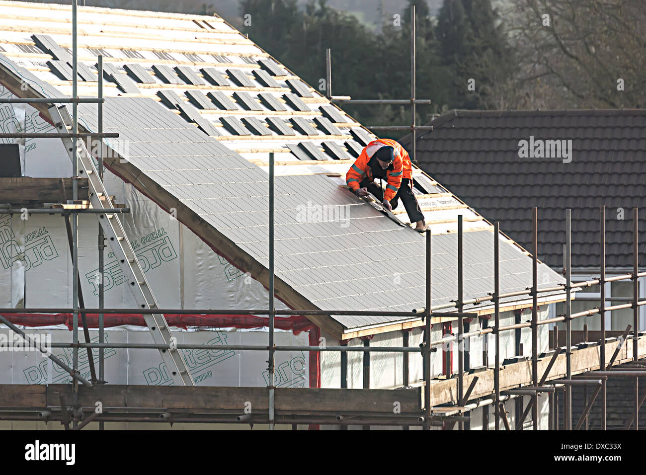 Roofing Services