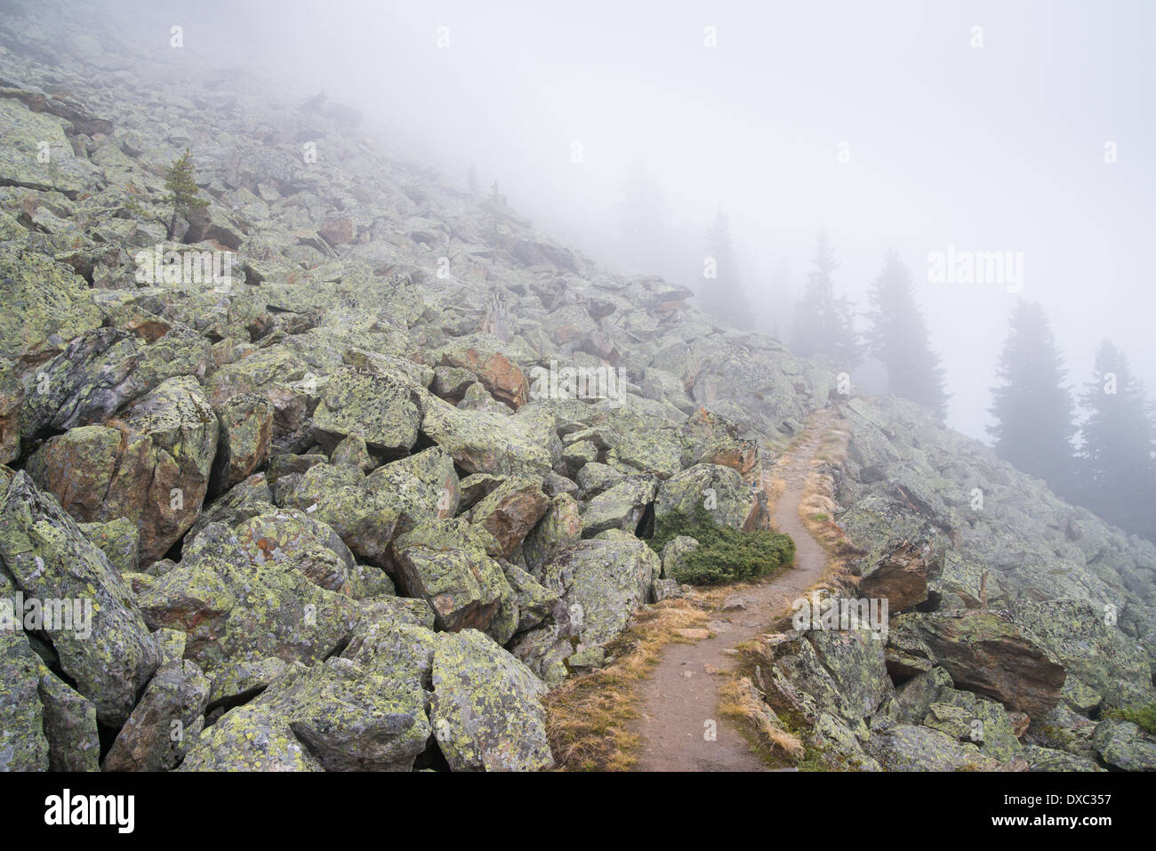 Casselweg path around Riederhorn in the fog, Riederalp, Valais, Swiss Alps, Switzerland, Europe Stock Photo