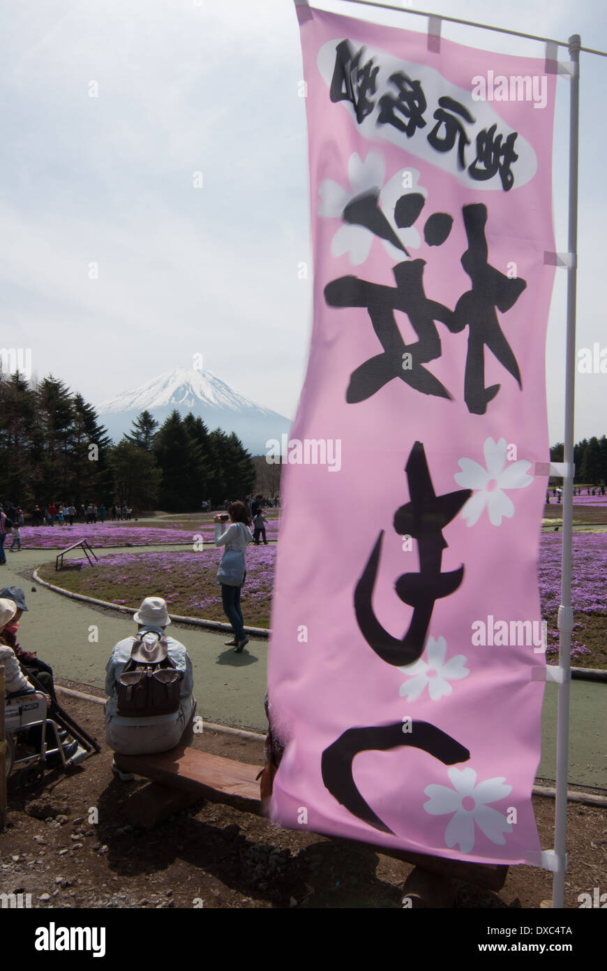 Fuji Shibazakura Festival at Fuji Motosuko resort, Yamanashi Prefecture, Japan Stock Photo