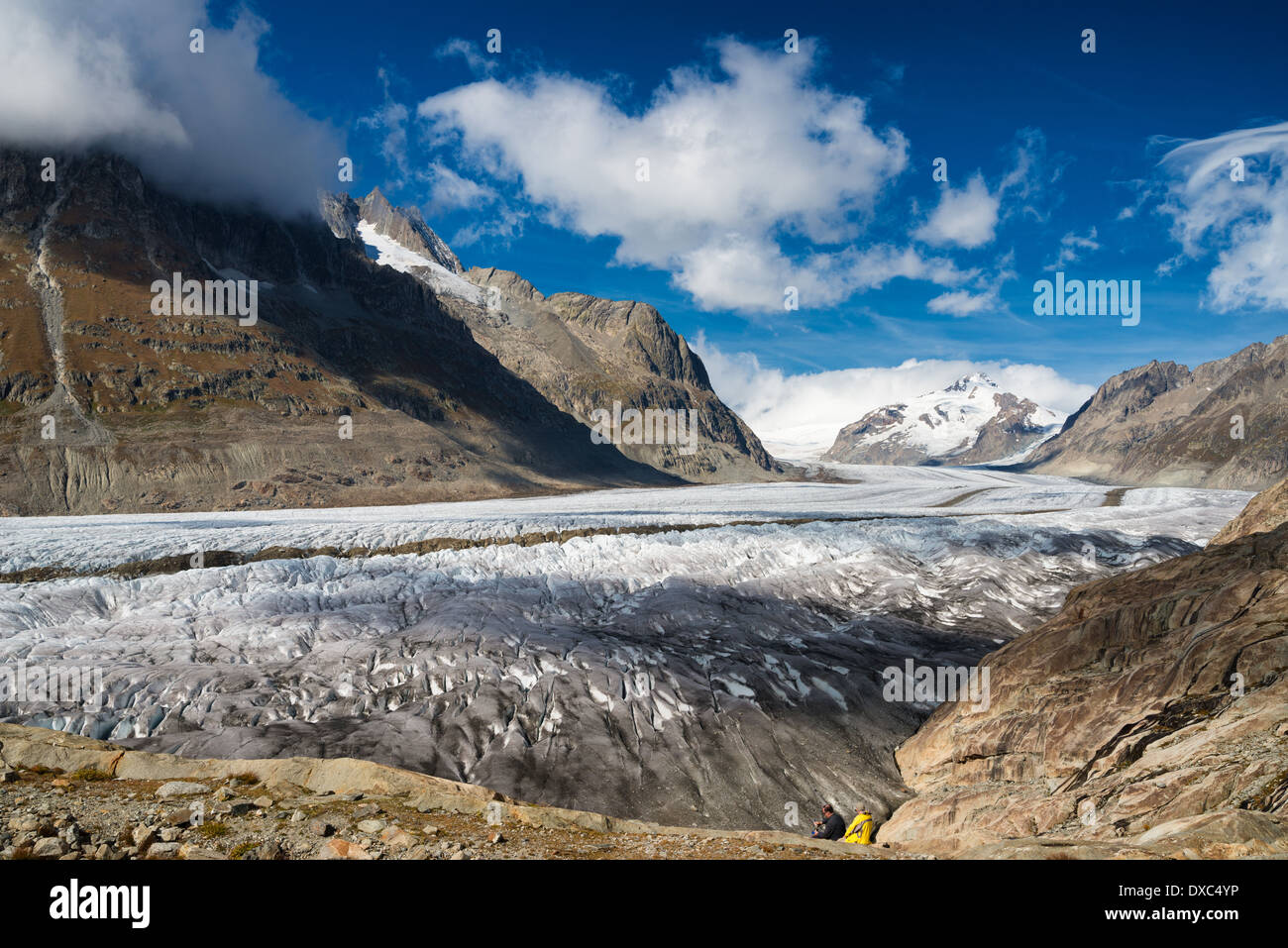 Great Aletsch Glacier, Valais, Swiss Alps, Switzerland, Europe Stock Photo