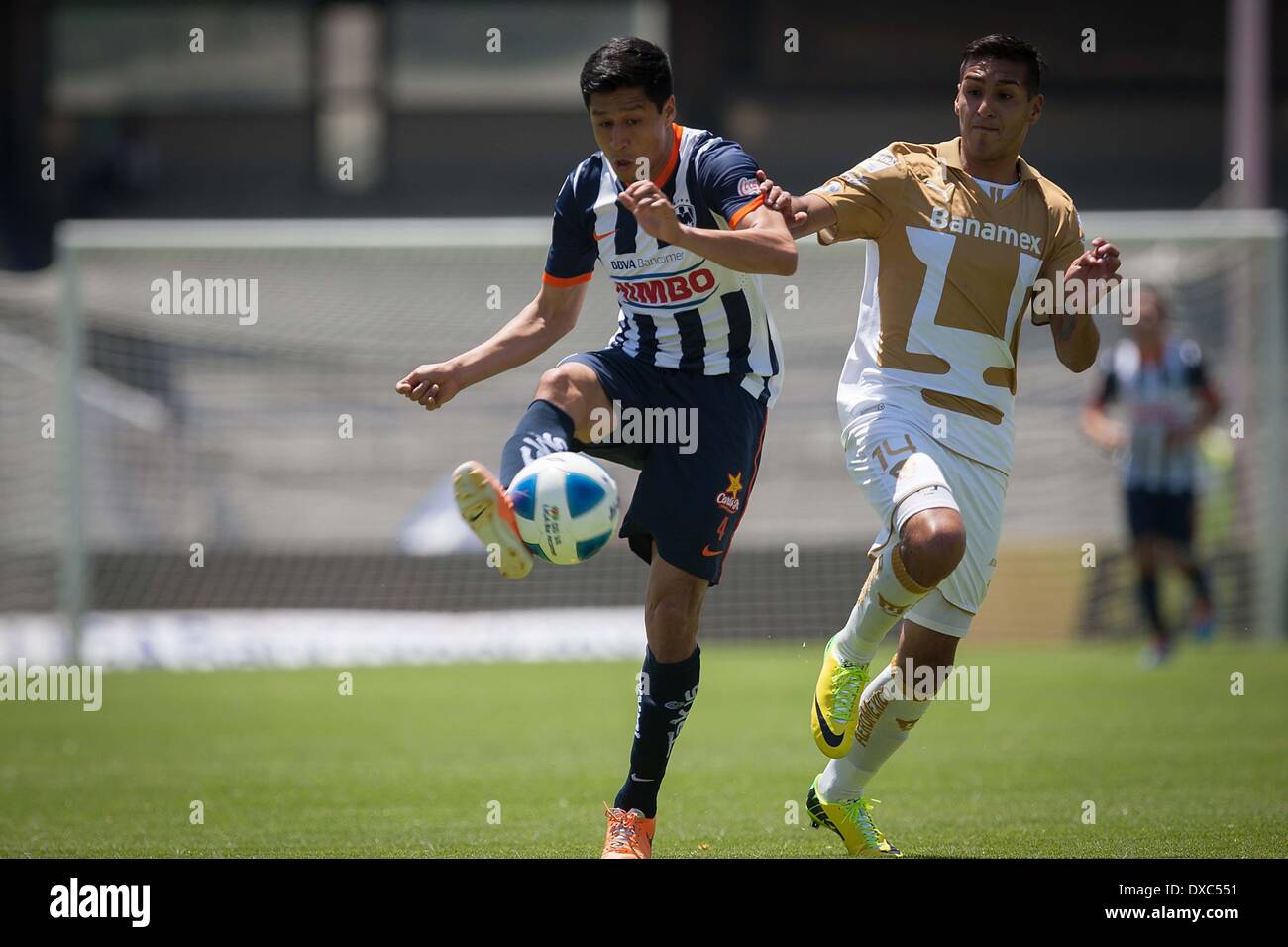 Mexico City, Mexico. 23rd Mar, 2014. Ismael Sosa (R) of UNAM's Pumas vies for the ball with Ricardo Osorio of Monterrey during a match of the 2014 MX League Closing Tournament at University Olympic Stadium in Mexico City, capital of Mexico, on March 23, 2014. © Pedro Mera/Xinhua/Alamy Live News Stock Photo