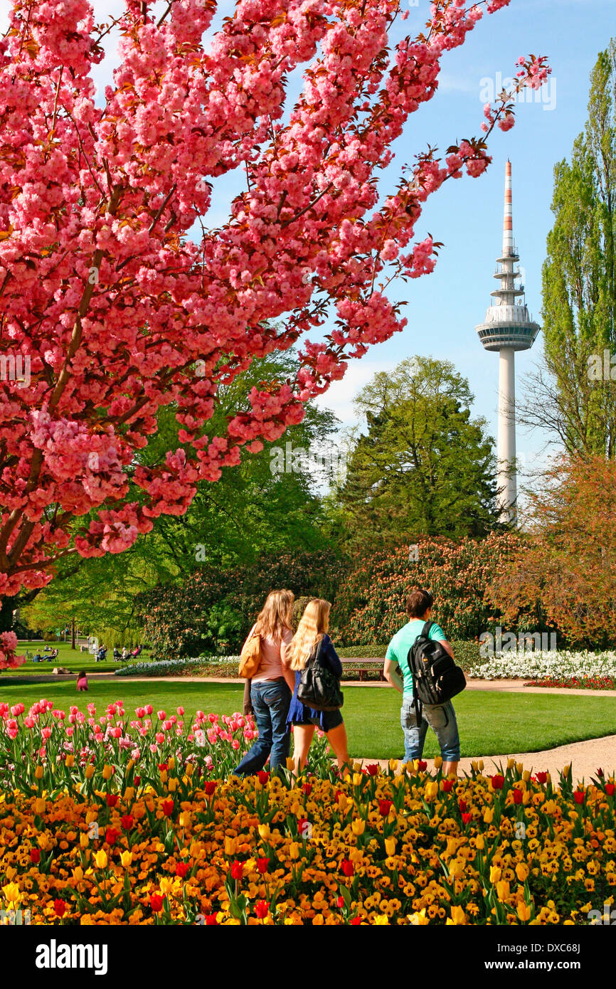 Luisenpark, Mannheim Stock Photo