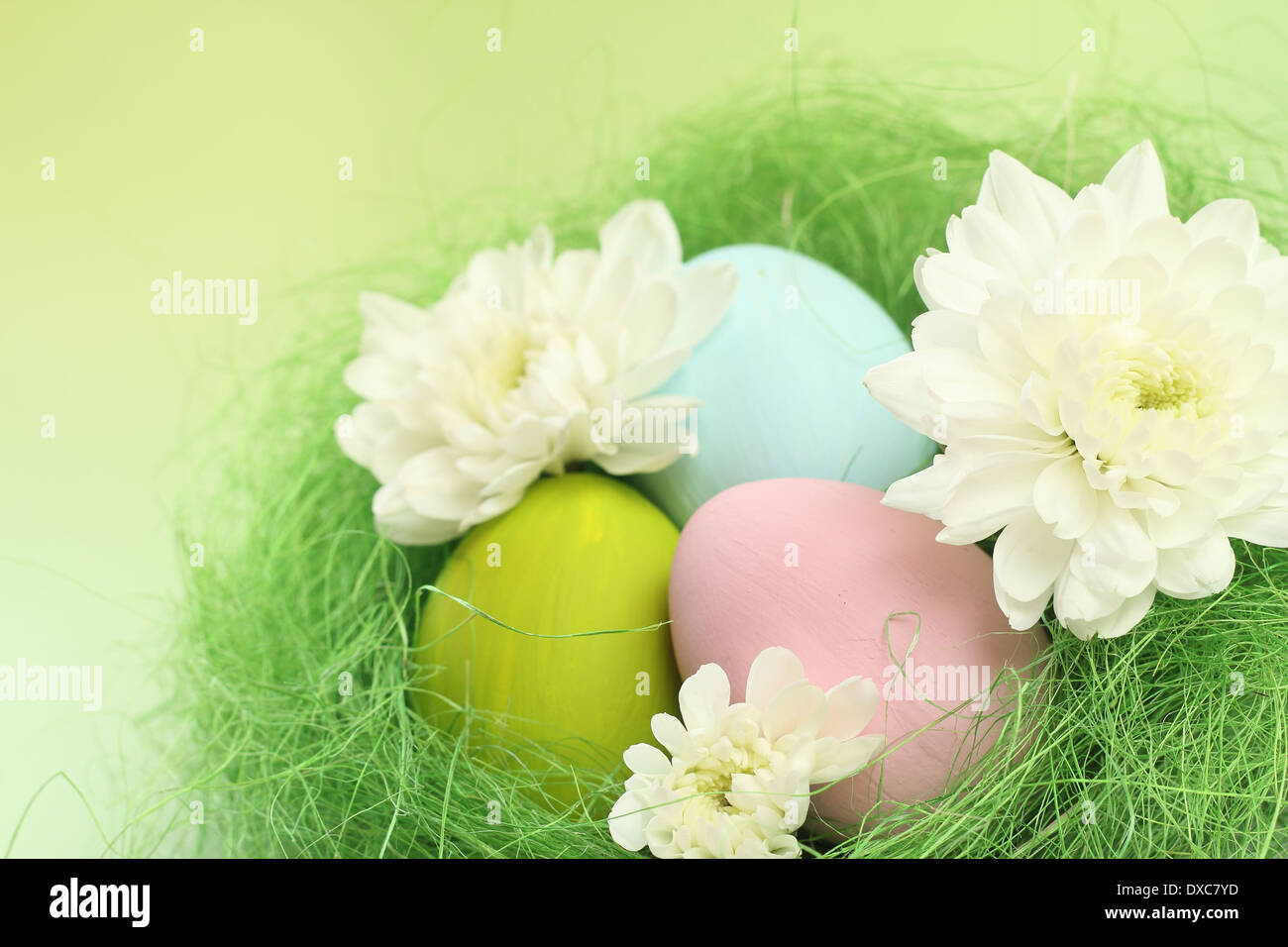 Easter card with eggs in nest and flowers Stock Photo - Alamy