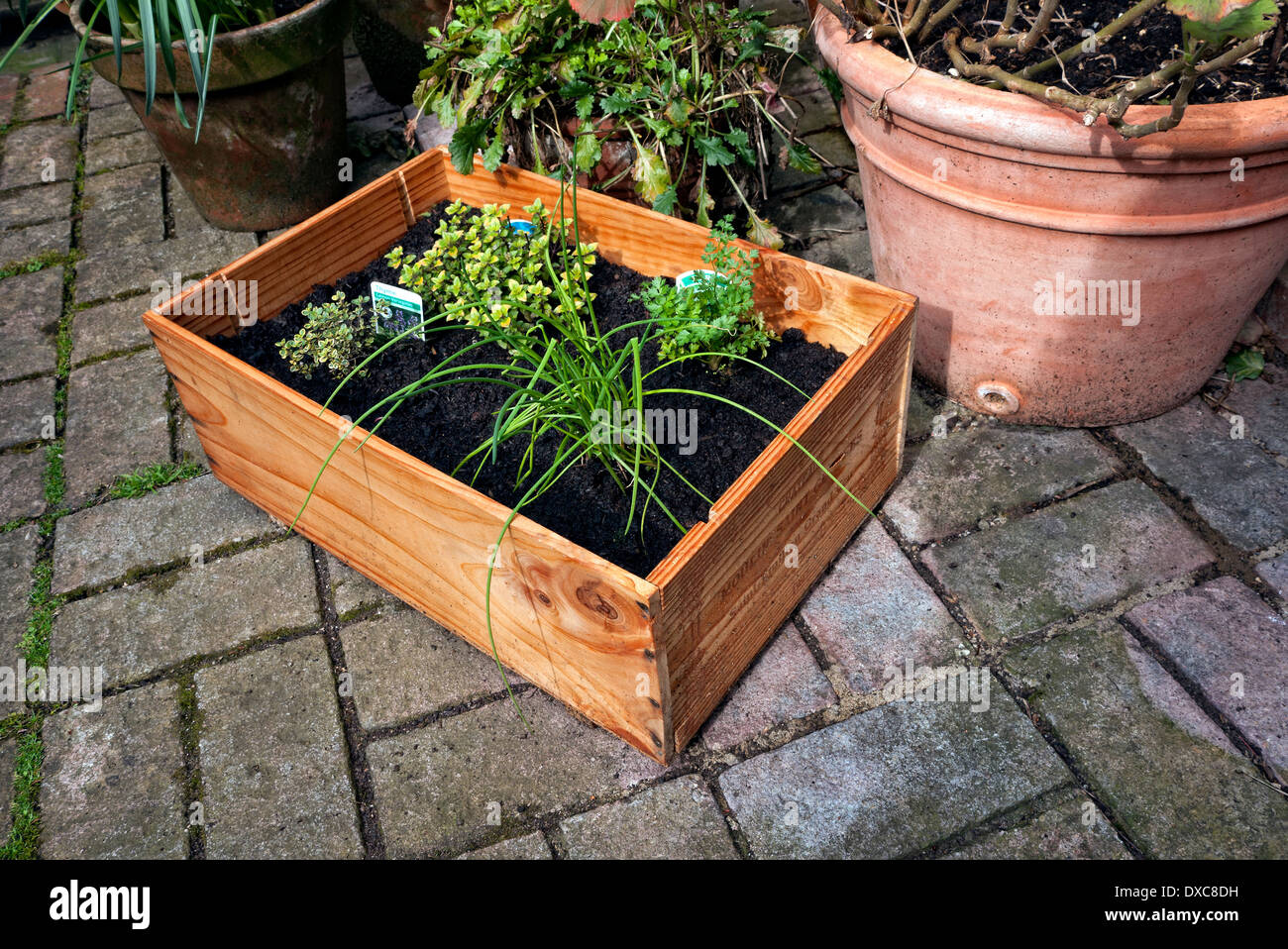 Small courtyard garden pots hires stock photography and images Alamy