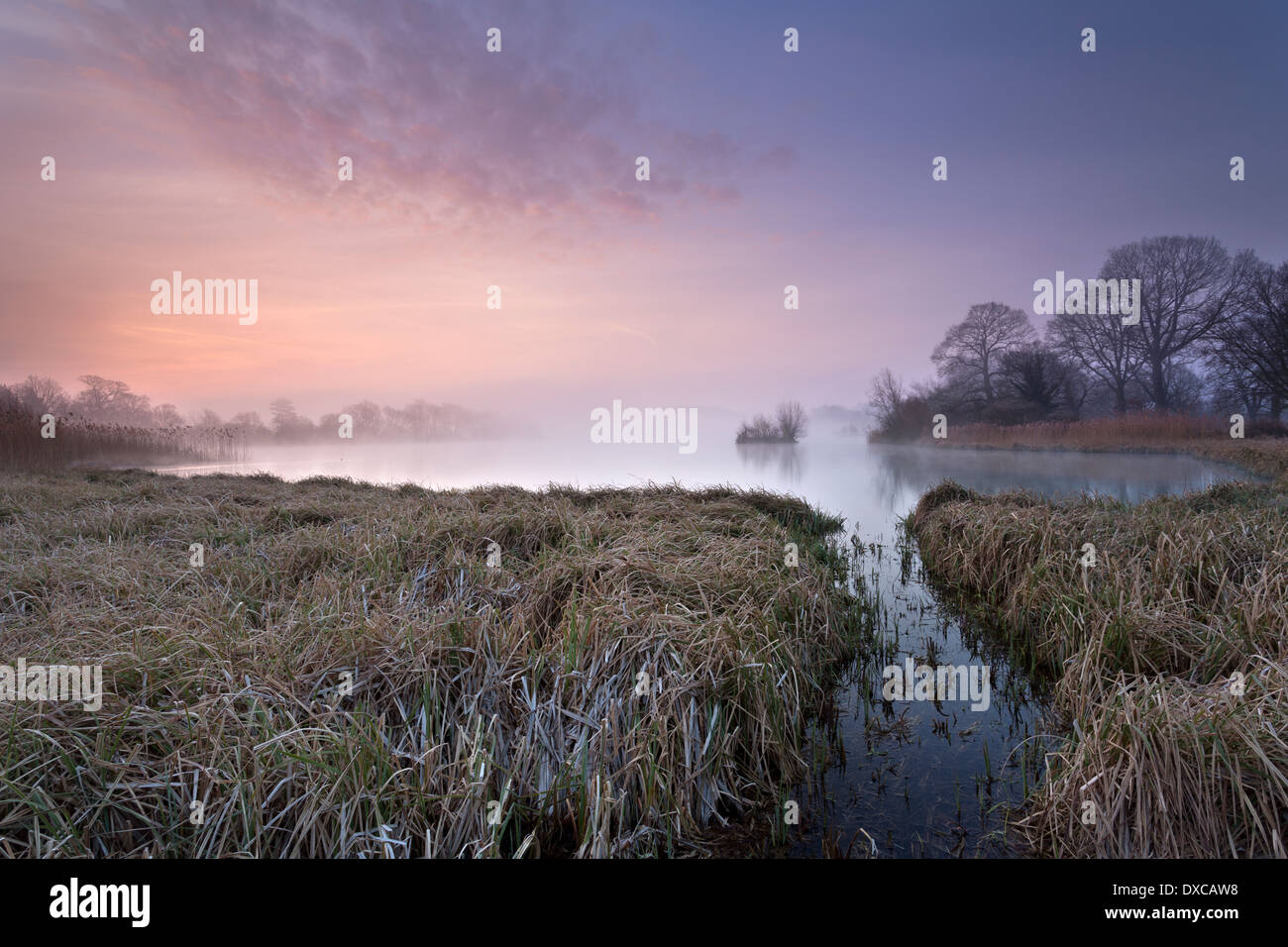 Sunrise at The Great Lake, Castle Howard, North Yorkshire, UK. Stock Photo