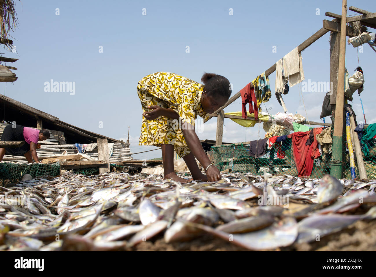 Fish market in Elmina, Ghana Stock Photo Alamy