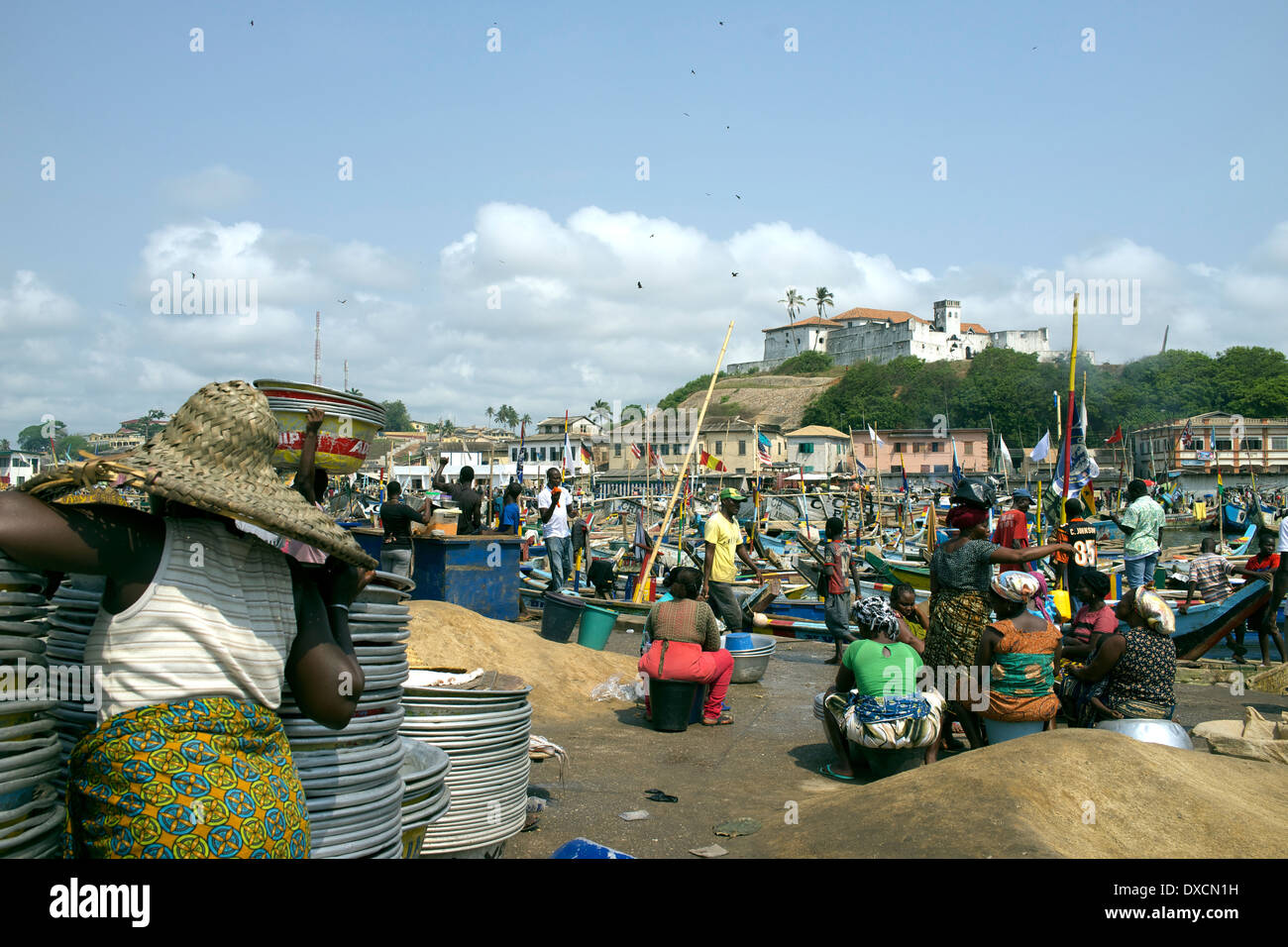 Fish market gold coast hires stock photography and images Alamy