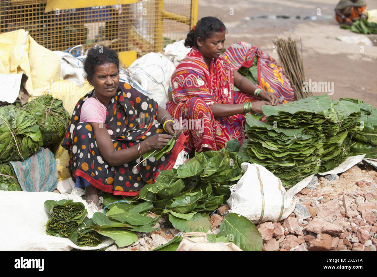 Tribal women selling leaf plates called patal made from jungle Saal leaves Munda tribe. Ranchi, Jharkhand, India Stock Photo