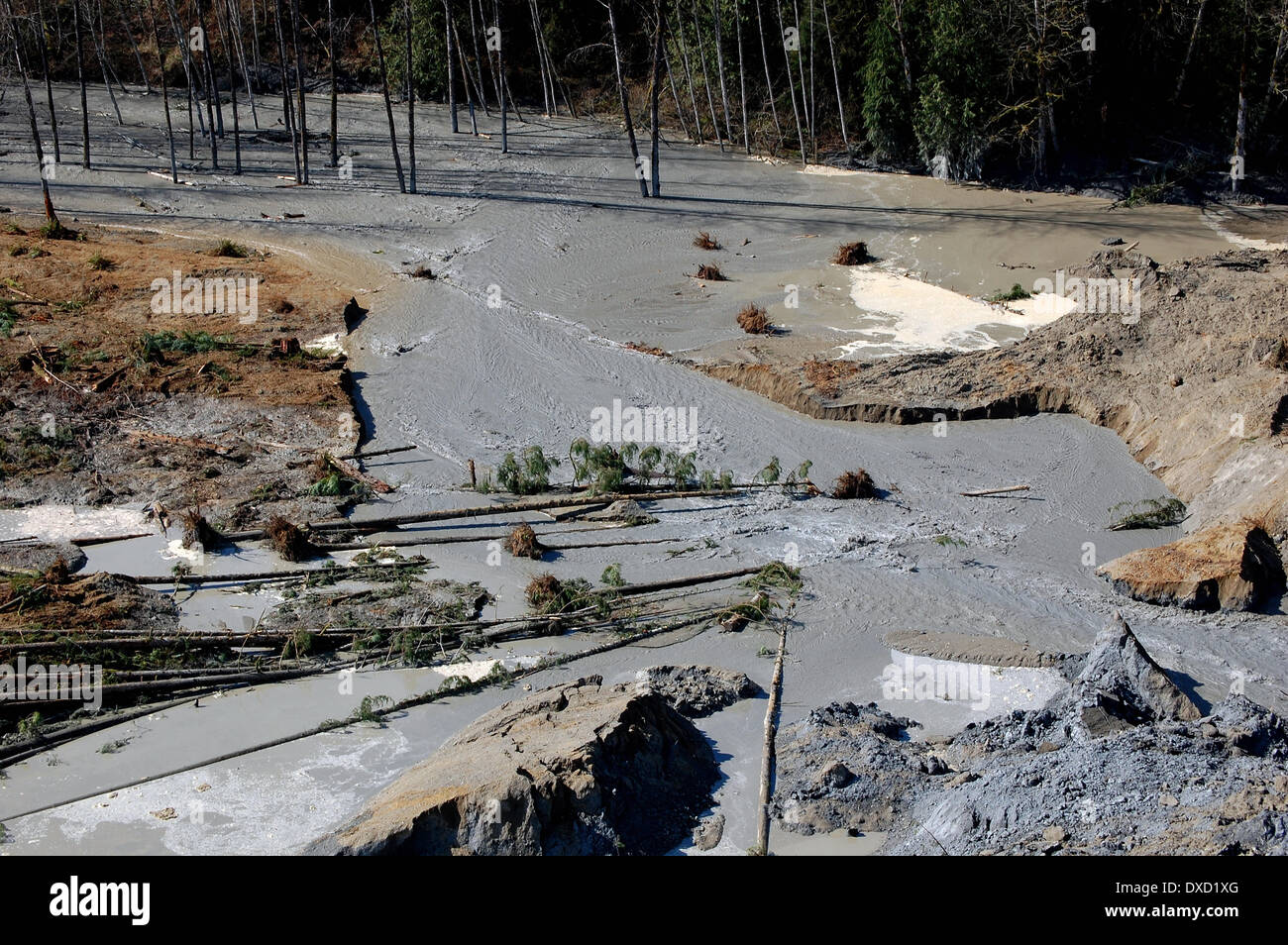 Aerial view of the breach through the landslide where water from the Stillaguamish River buried State Route 530 and causing a massive mudslide killing at least eight people and destroying a small riverside village in northwestern Washington state March 22, 2014 in Oso, Washington. Stock Photo