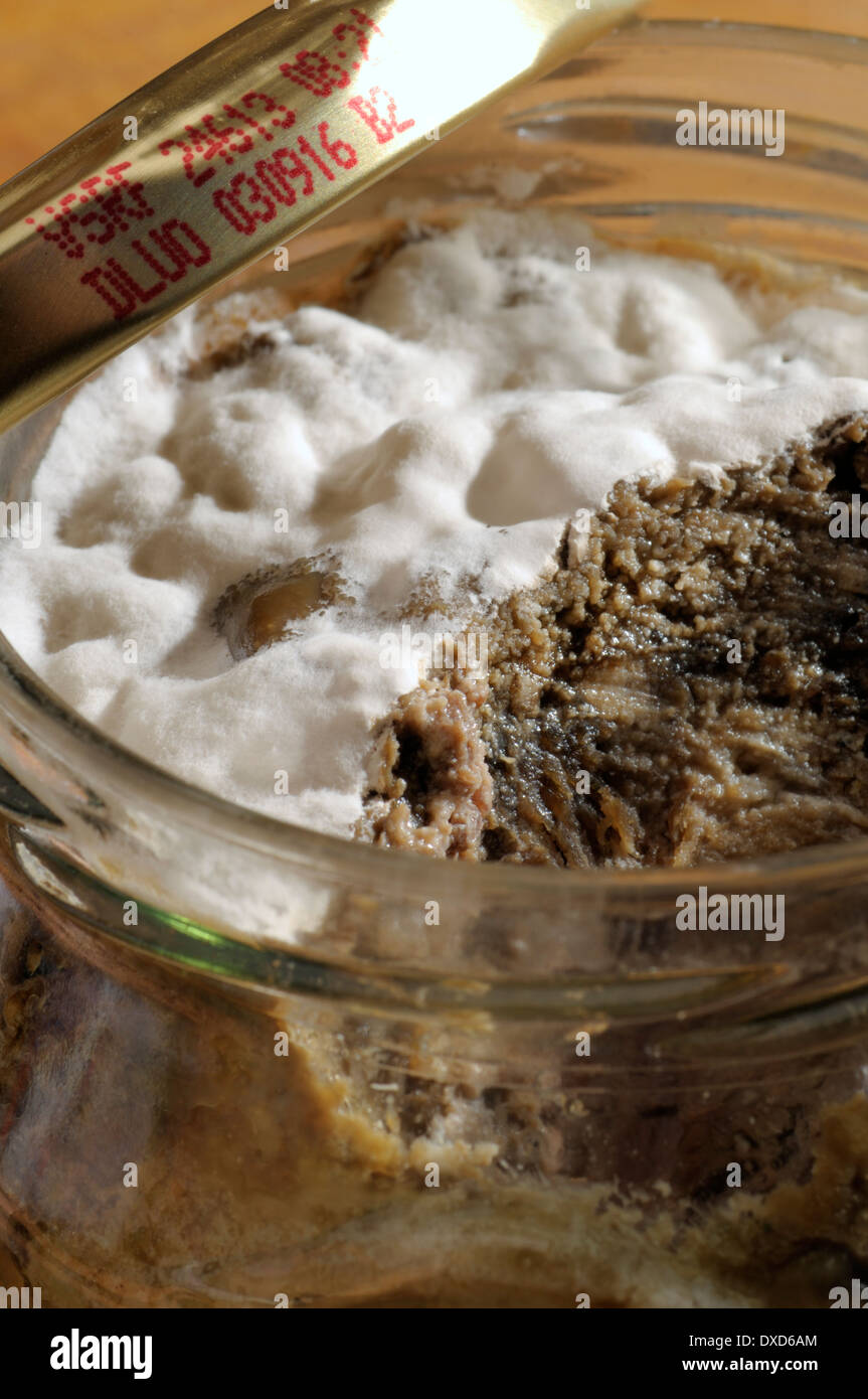 Mould growing on a jar of meat pate which was not sealed properly after production Stock Photo