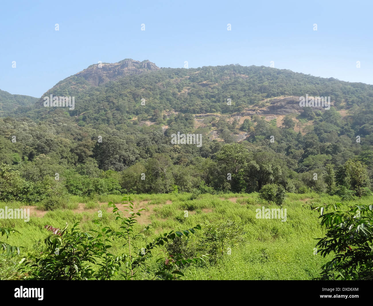 idyllic scenery at the Bhagwan Mahaveer Sanctuary and Mollem National Parkin India Stock Photo