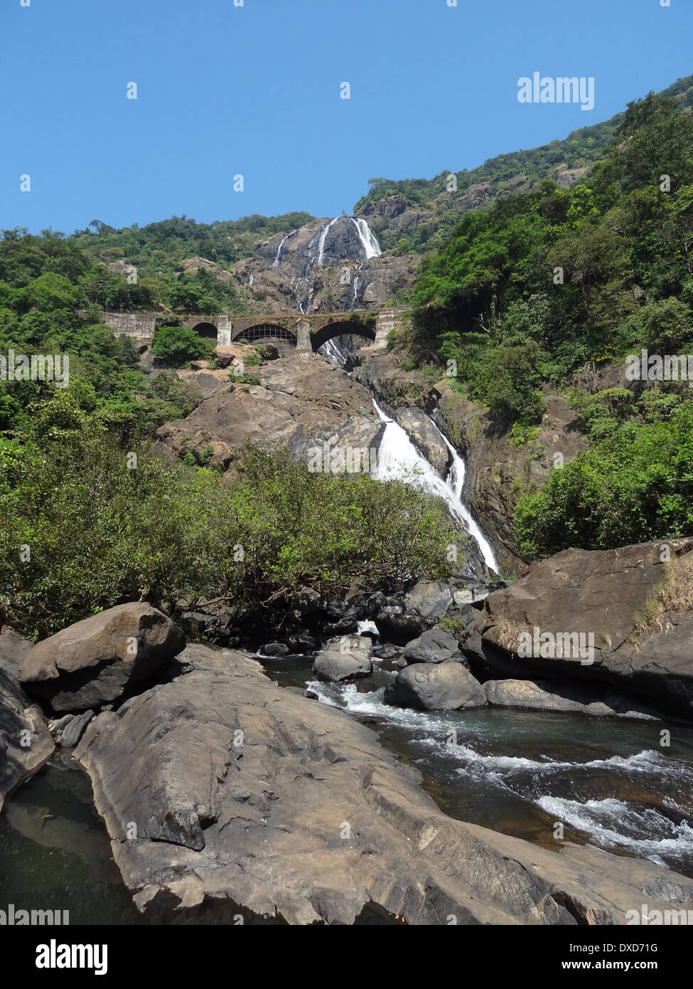 idyllic scenery at the Bhagwan Mahaveer Sanctuary and Mollem National Parkin India Stock Photo