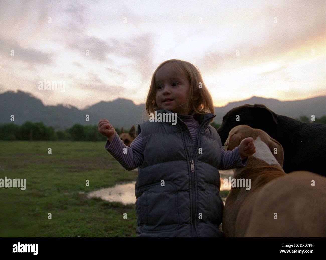 Post Tenebras Lux Stock Photo - Alamy