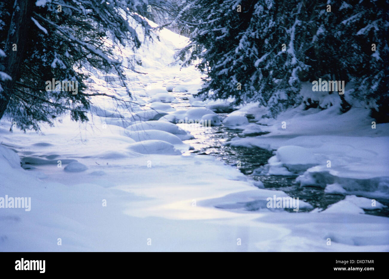Frozen stream in snowy woods, Austria, Christmas, 1969 Stock Photo