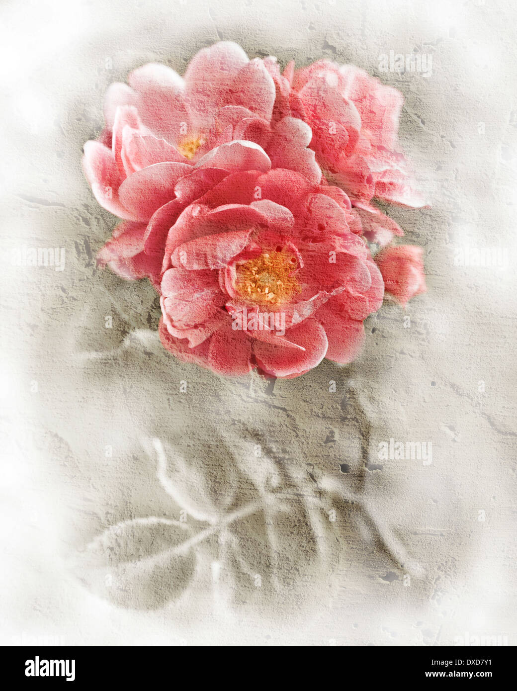 Abstract romantic pink roses flowers Floral background soft selective focus Watercolor painting style immitation processing Stock Photo